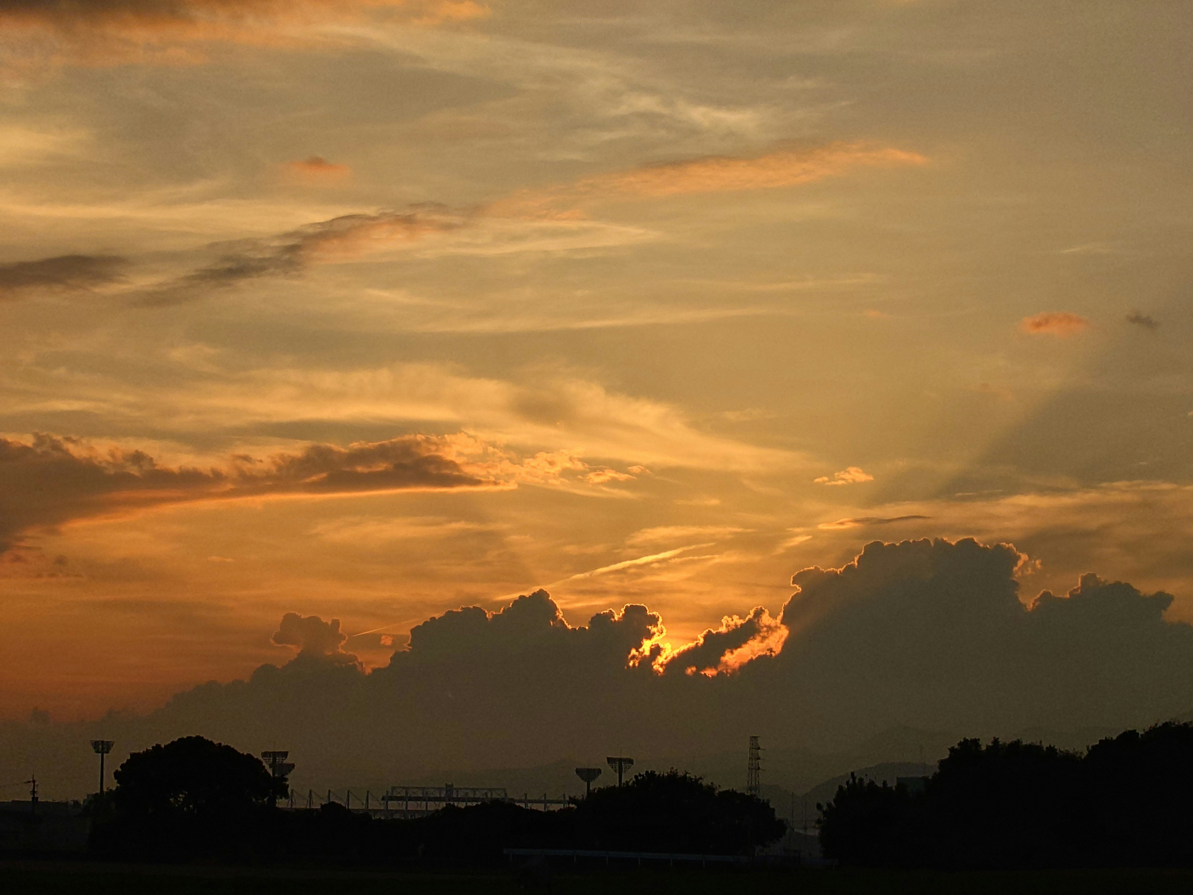 夕焼けの空に広がる雲とシルエットの木々