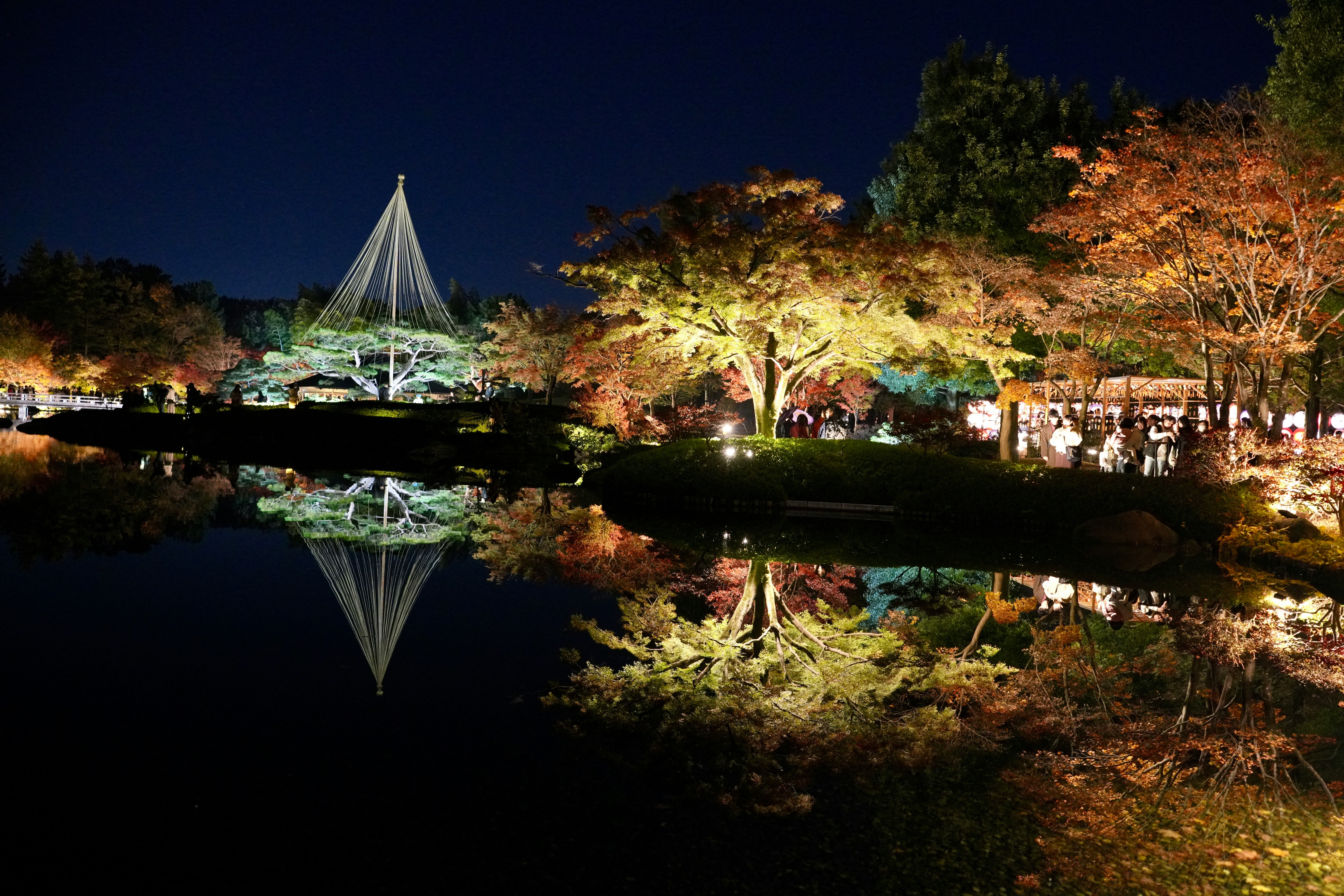 昭和記念公園のライトアップと水面に映るイルミネーション