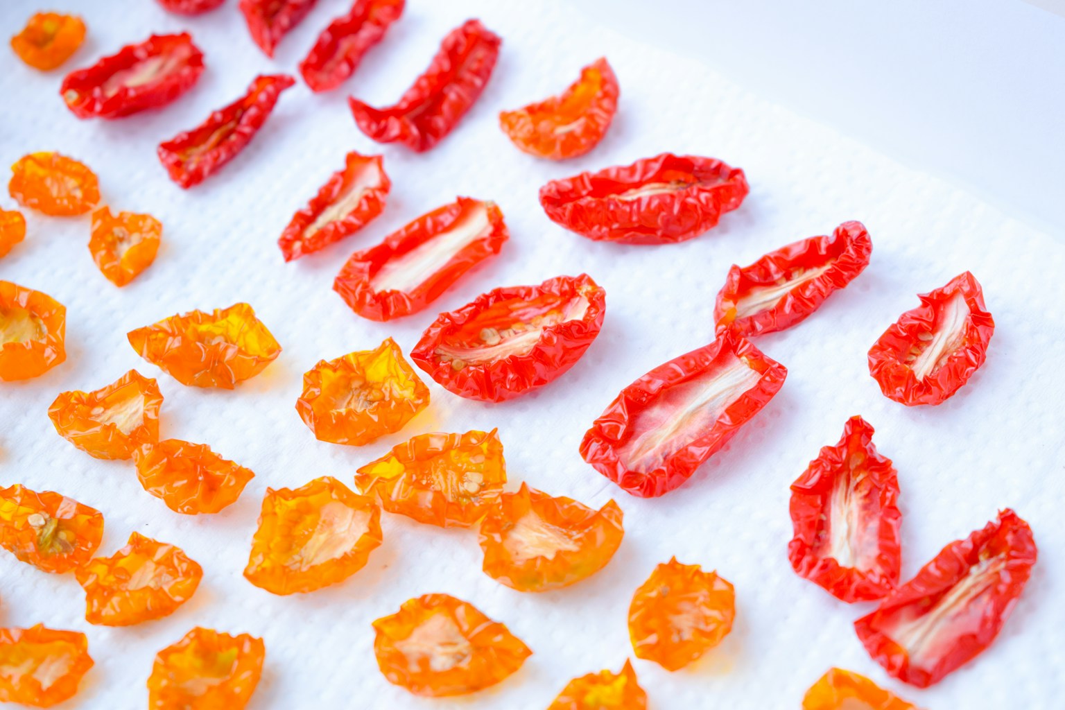 Getrocknete Scheiben von Tomaten und Orangen auf einer weißen Fläche angeordnet