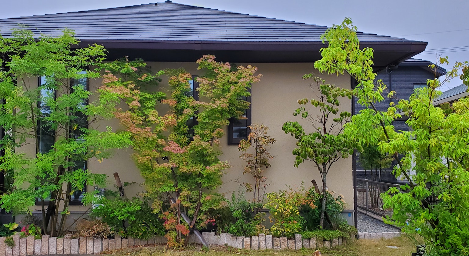 Eksterior rumah modern dikelilingi oleh tanaman hijau subur