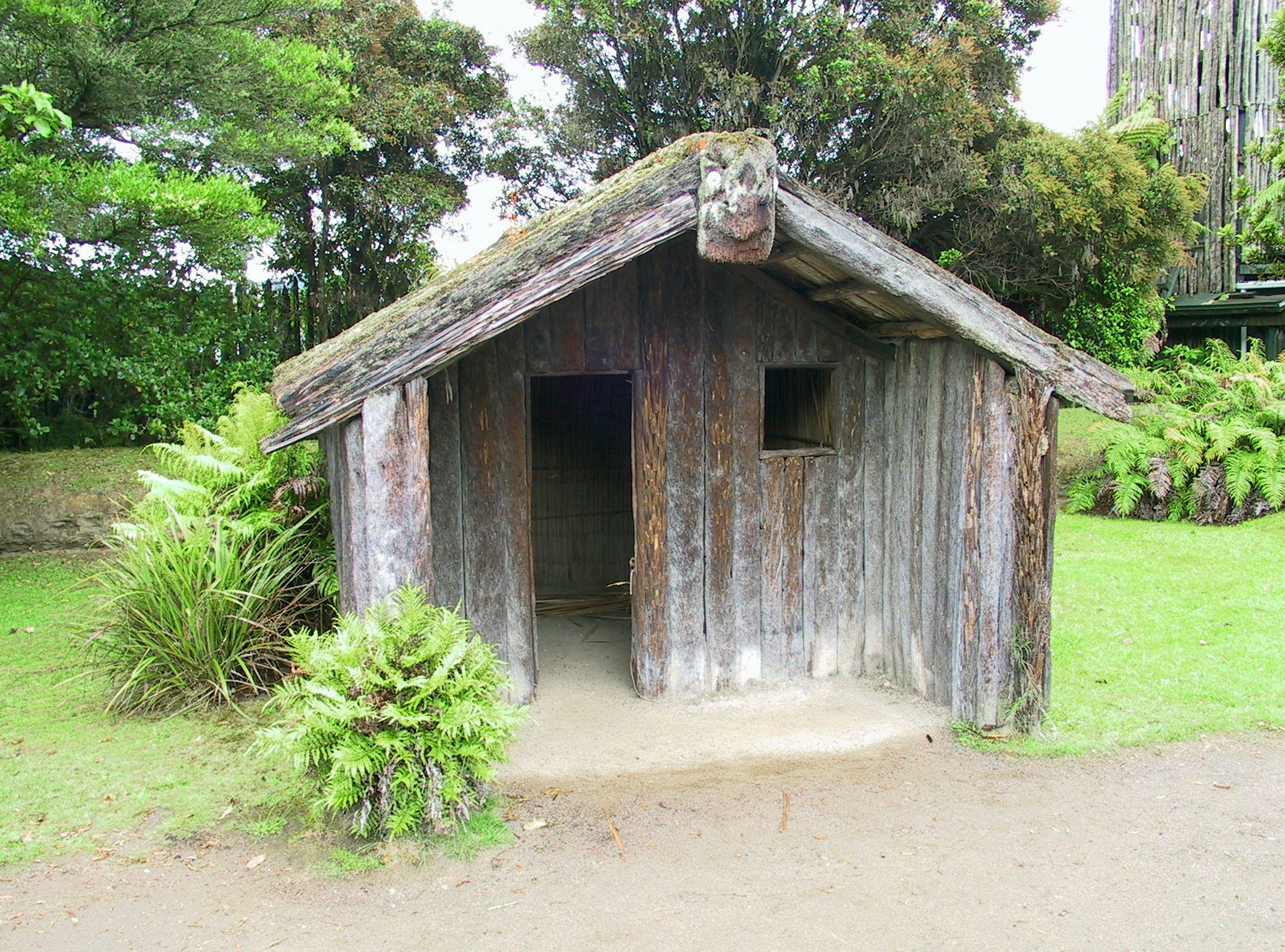 entrance of an old wooden shed in a green garden