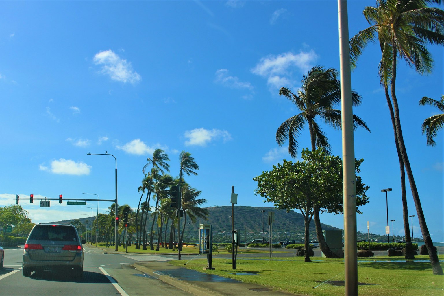 道路景观，有棕榈树和晴朗的蓝天