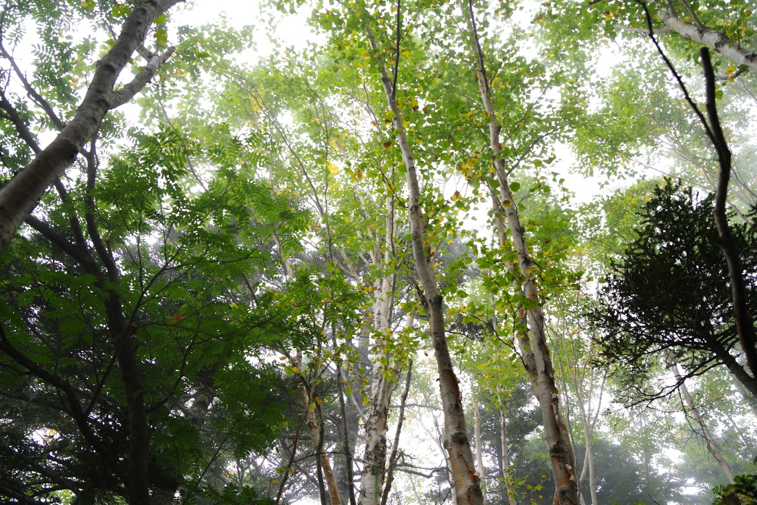 photo-PnYT41Kzf5HQi2iysJqd-image