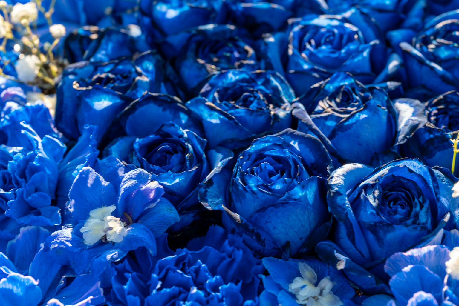 Vibrant arrangement of blue roses and blue flowers
