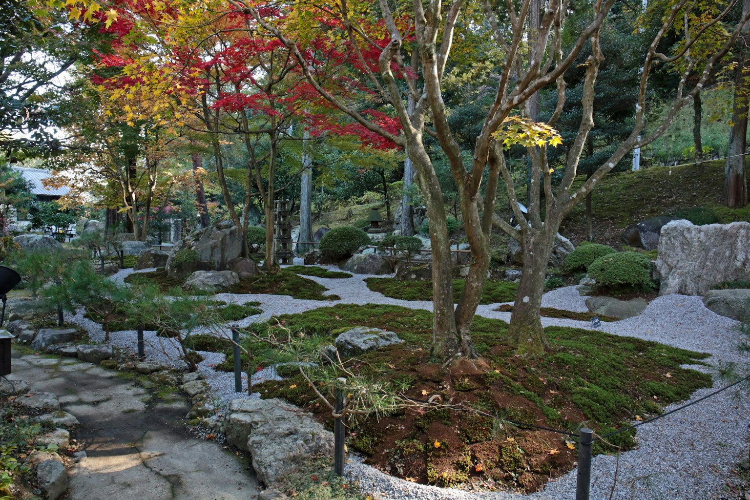Taman Jepang yang indah di musim gugur dengan pohon berdaun berwarna batu dan lumut
