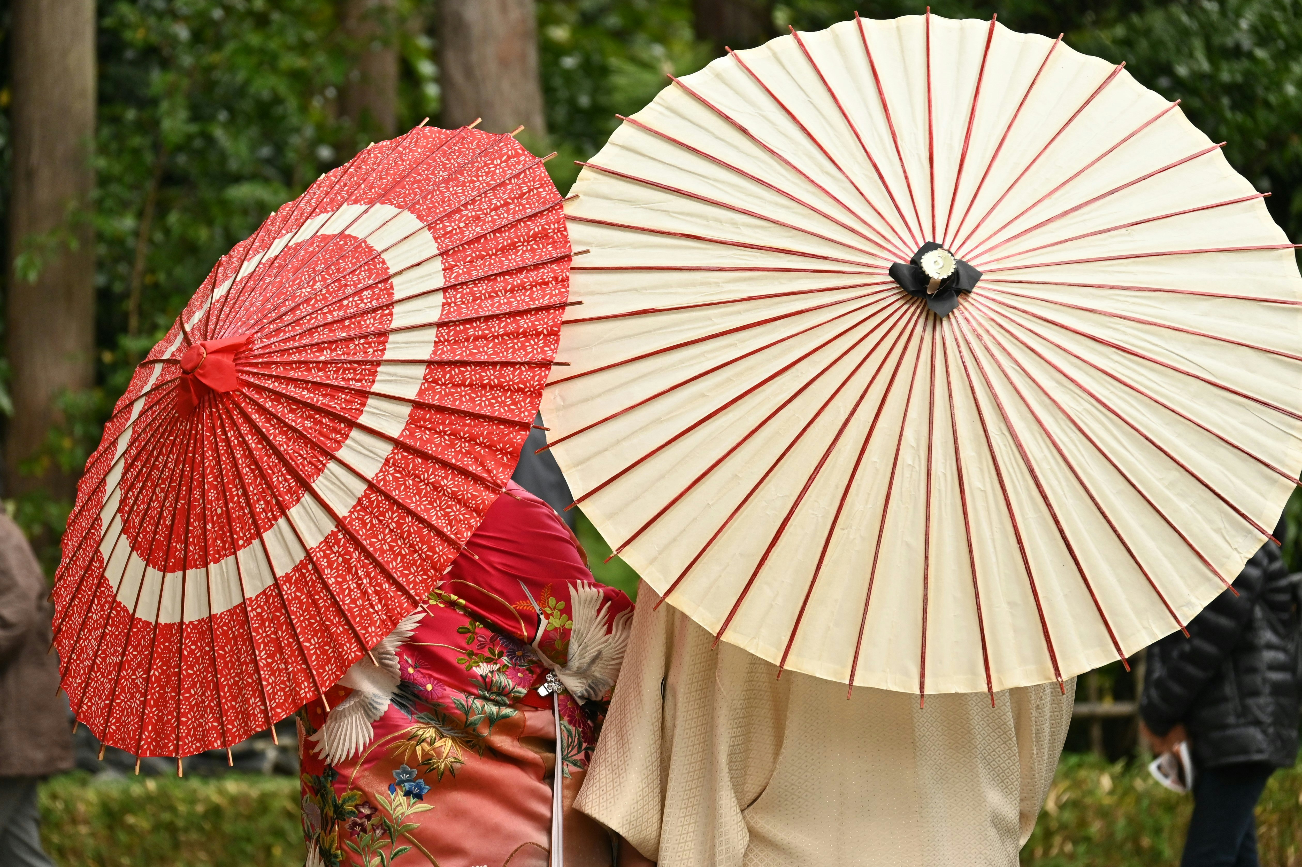 三溪園庭園裡的日式傘