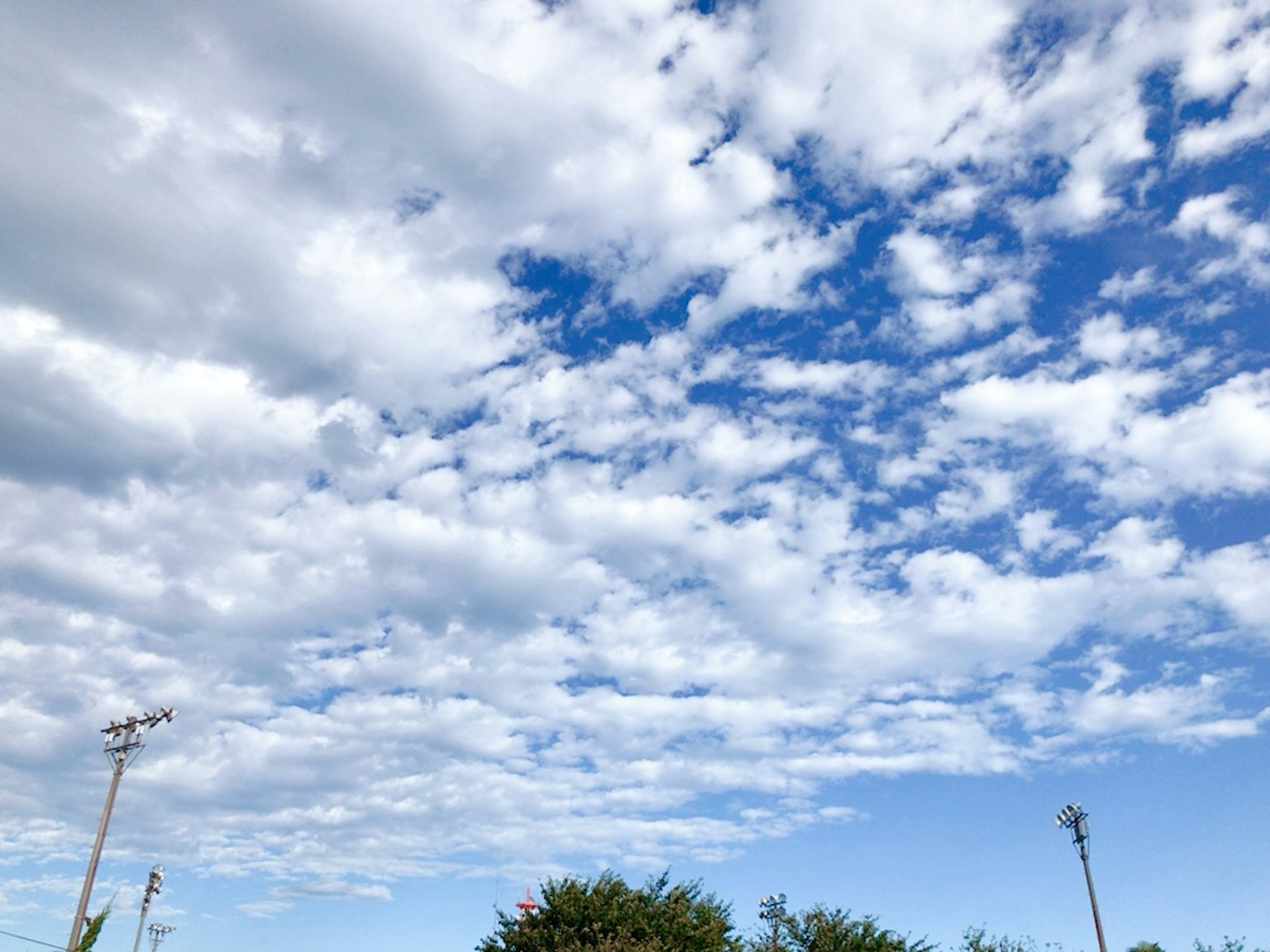Malersiche Aussicht auf weiße Wolken vor einem blauen Himmel mit grünen Bäumen