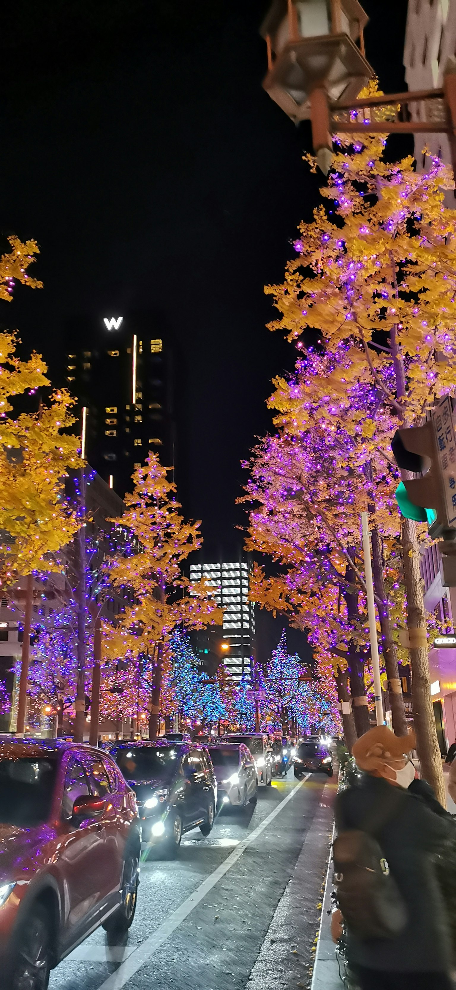 City street at night adorned with purple and yellow trees and cars
