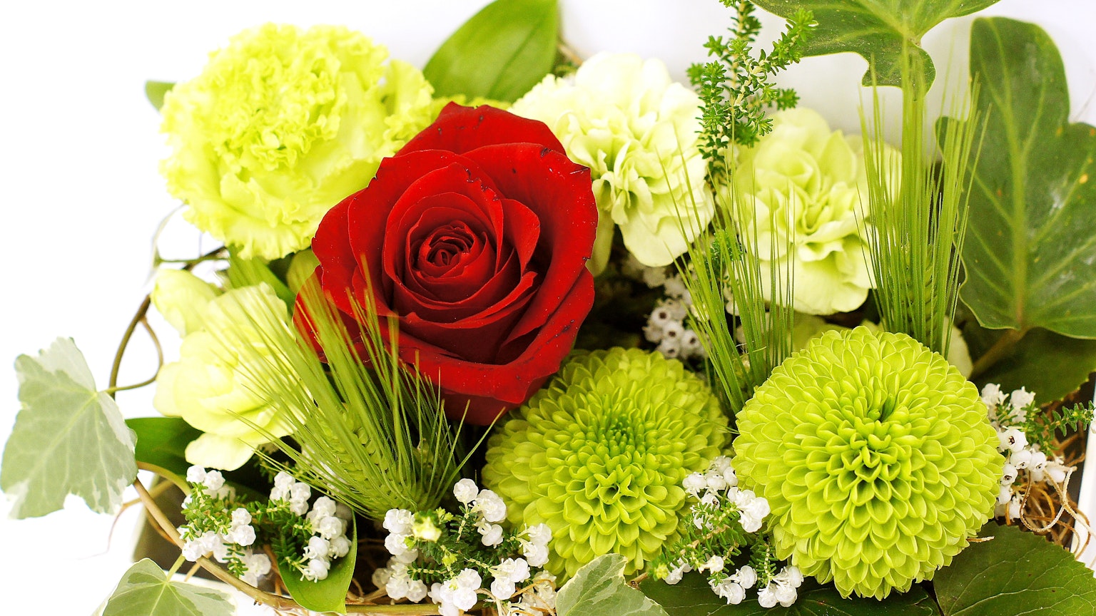 Bouquet avec une rose rouge et des chrysanthèmes verts
