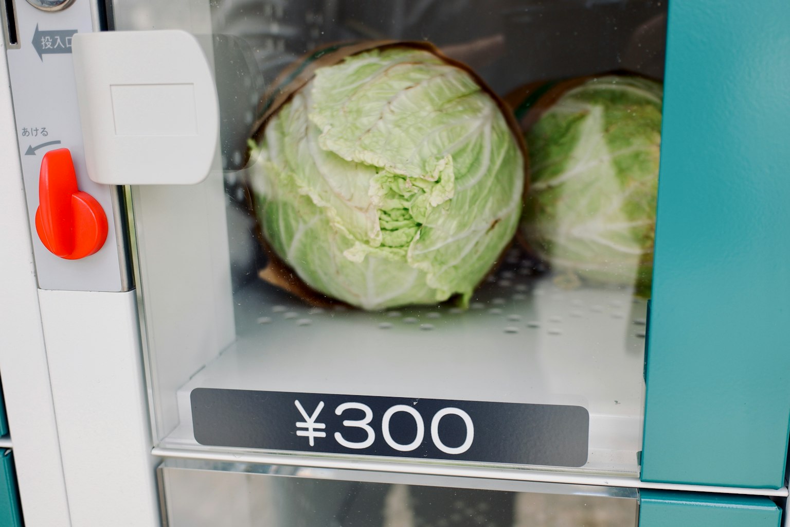 自動販賣機中展示的高麗菜和價格標籤