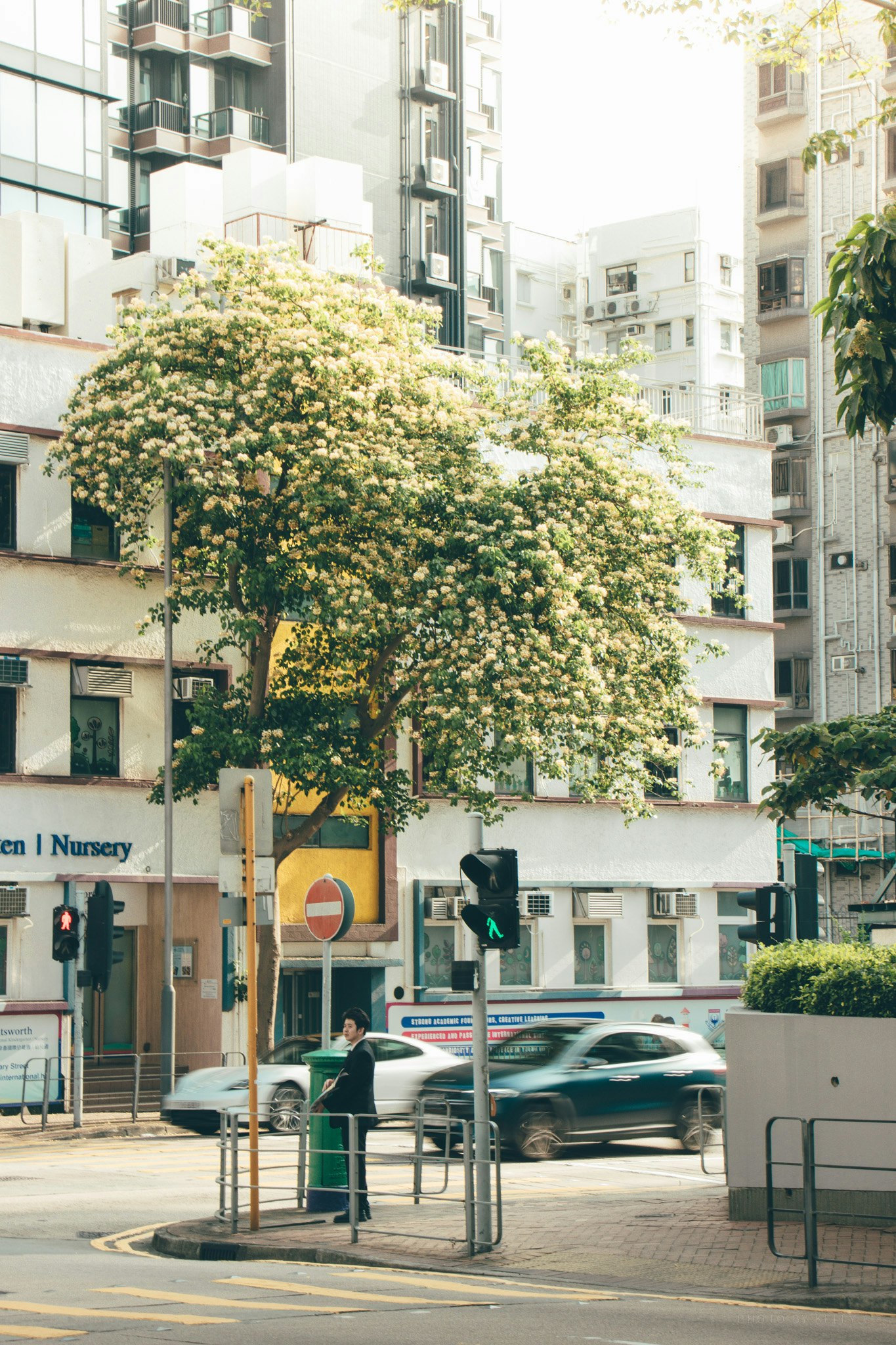 städtische Kreuzung mit Straßenbäumen und Bänken