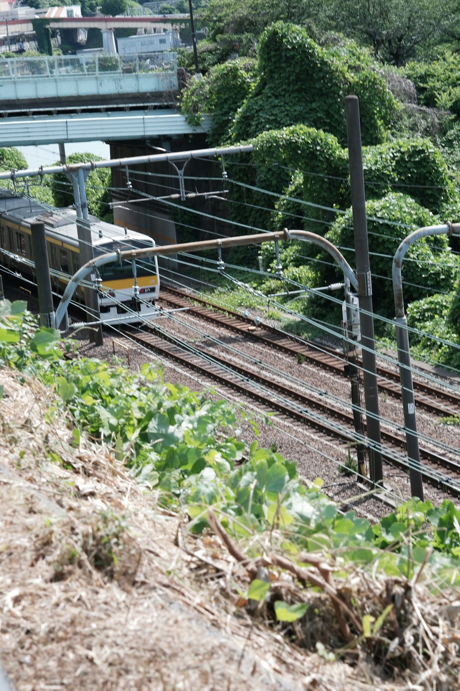 ทิวทัศน์เขียวขจีที่มีรางรถไฟและรถไฟที่มองเห็นได้