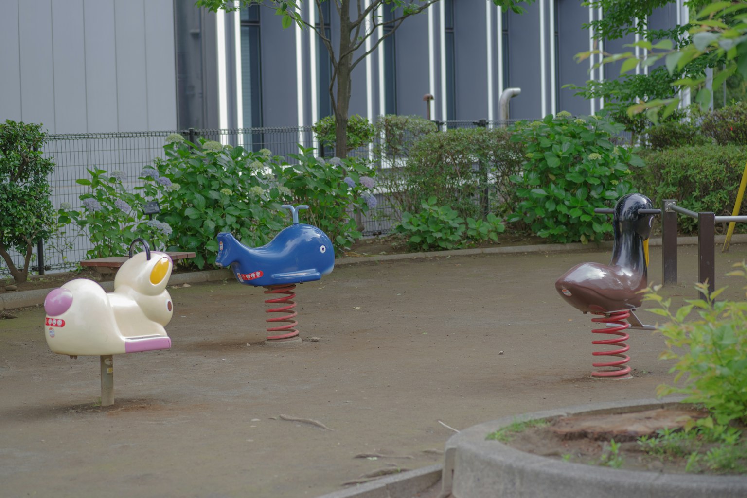 公园里色彩丰富的动物弹簧骑行器