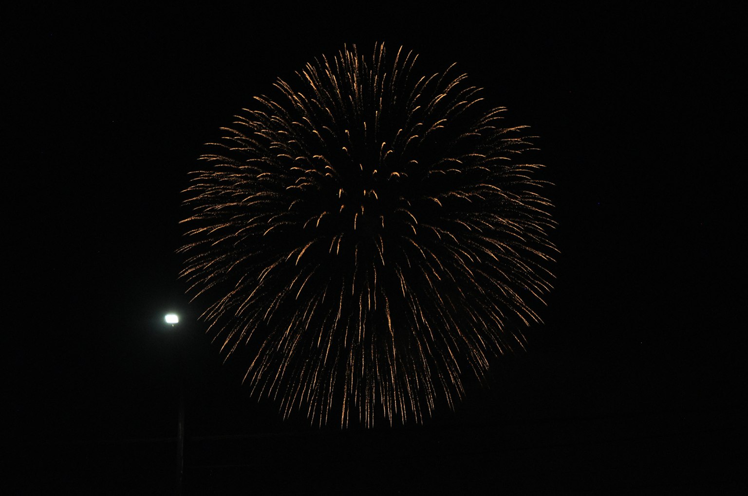 Fuegos artificiales dorados estallando en el cielo nocturno con una farola
