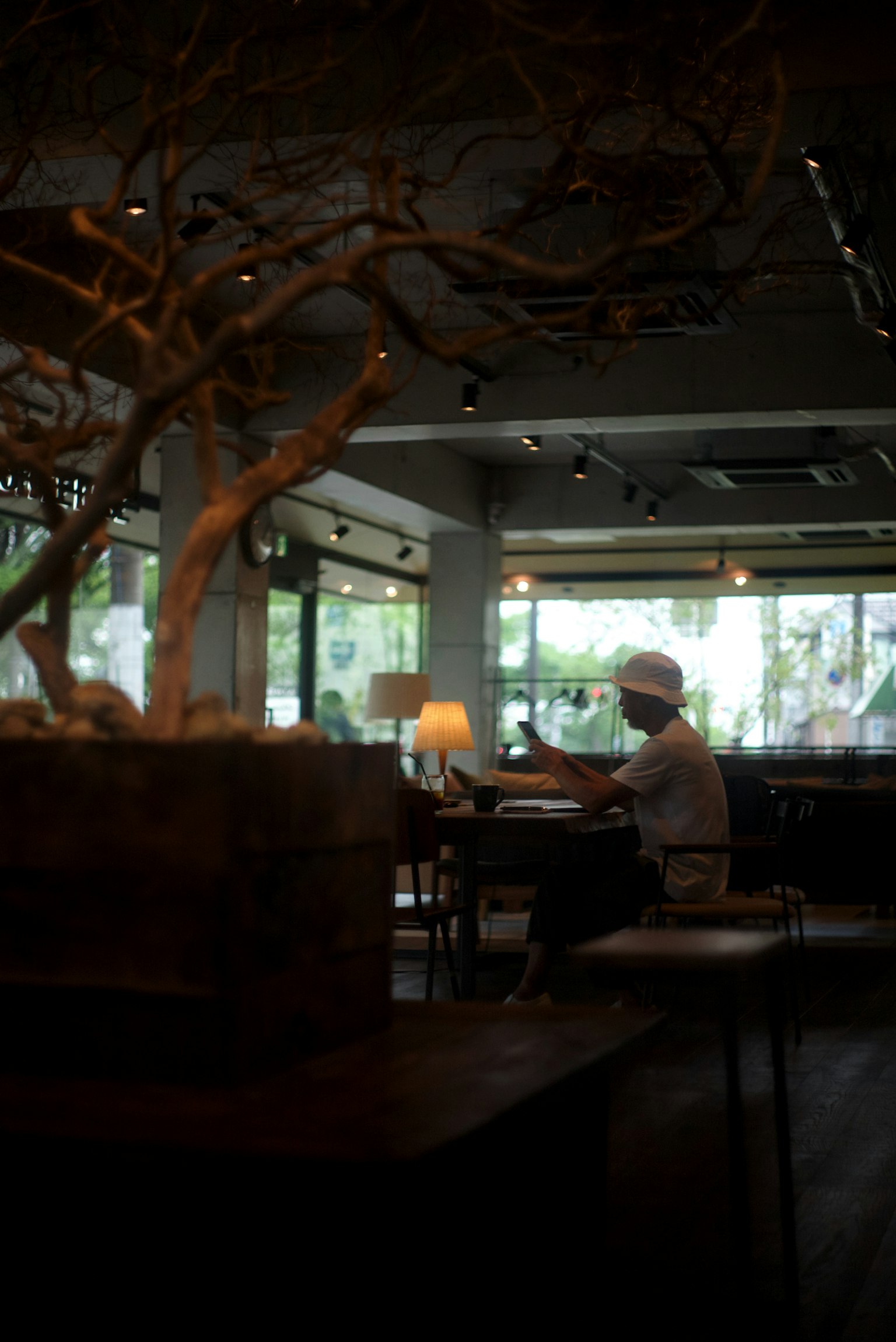 Interior de una cafetería con una persona sentada y un árbol decorativo