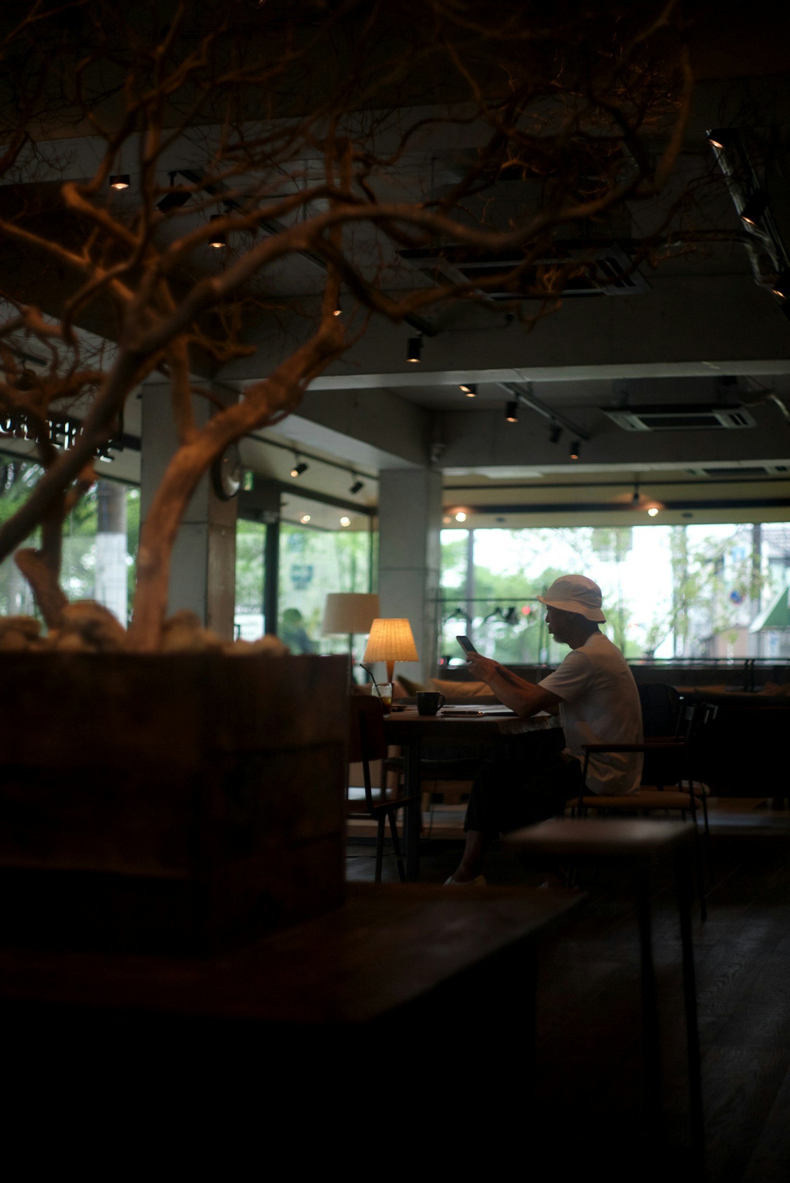 Interior of a cafe with a person sitting and decorative tree