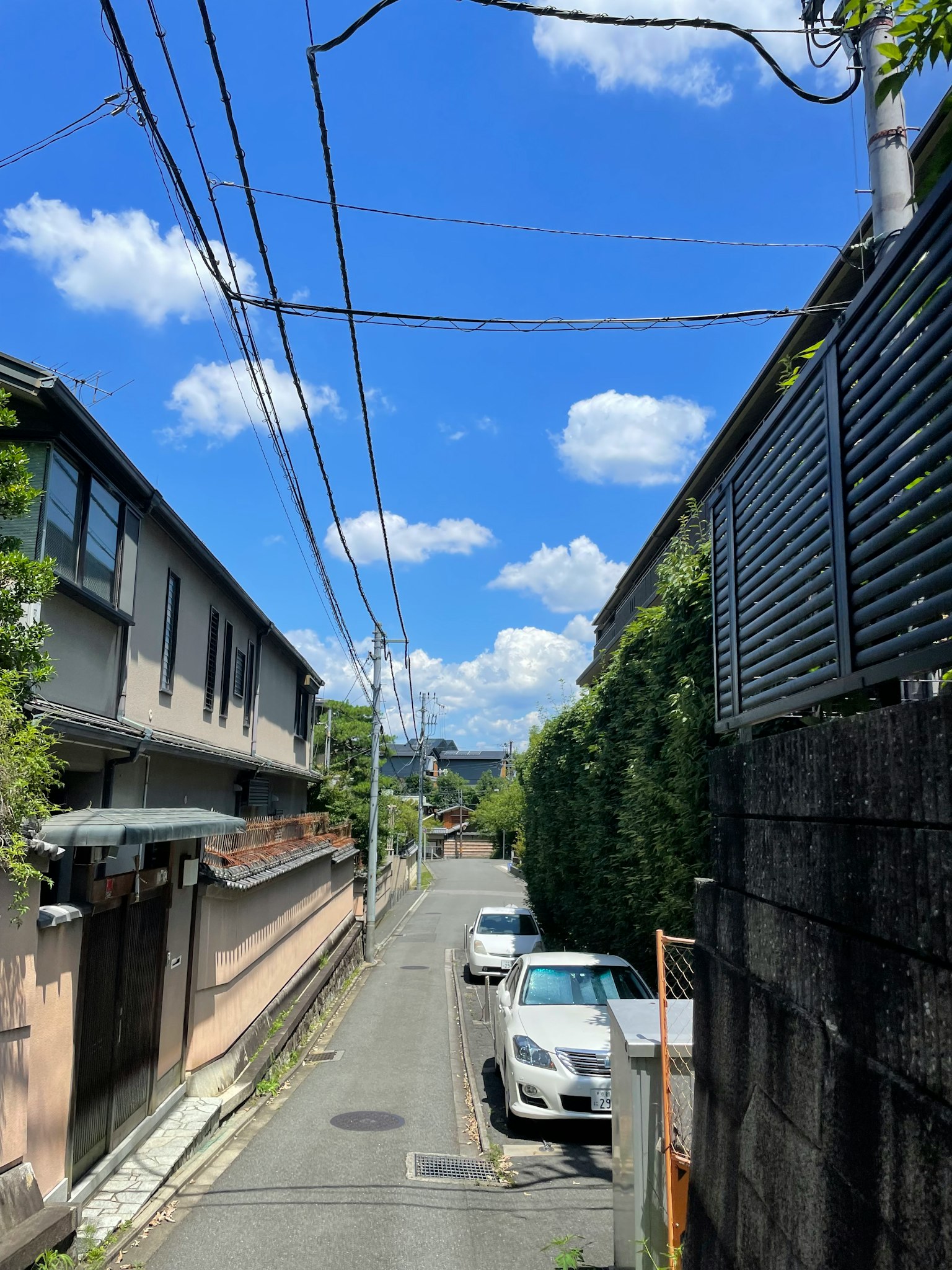 Una scena di strada tranquilla con cielo blu e nuvole bianche, caratterizzata da vegetazione lussureggiante e auto parcheggiate