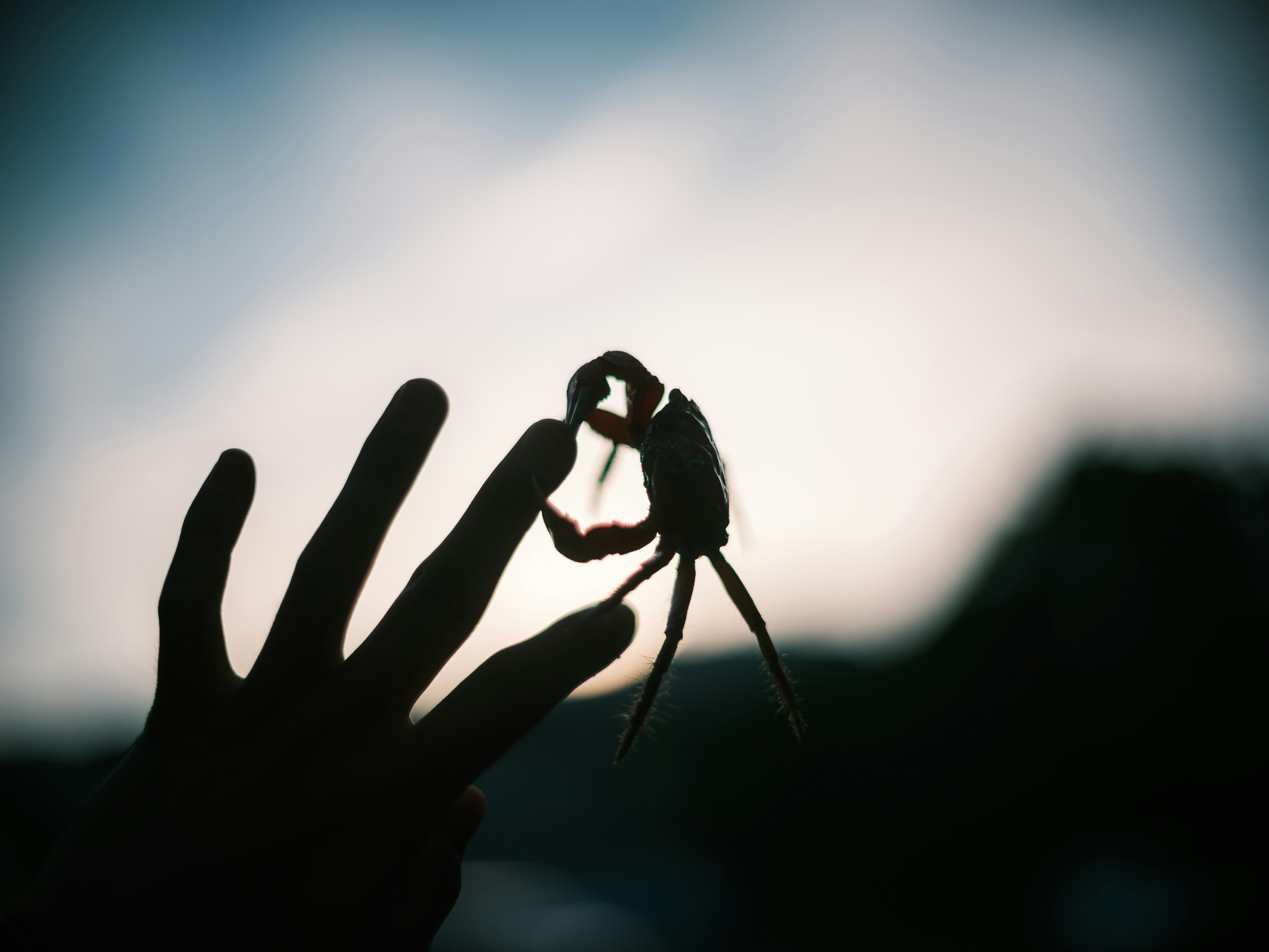 silhouette tangan di latar depan dengan seseorang memegang kamera saat senja