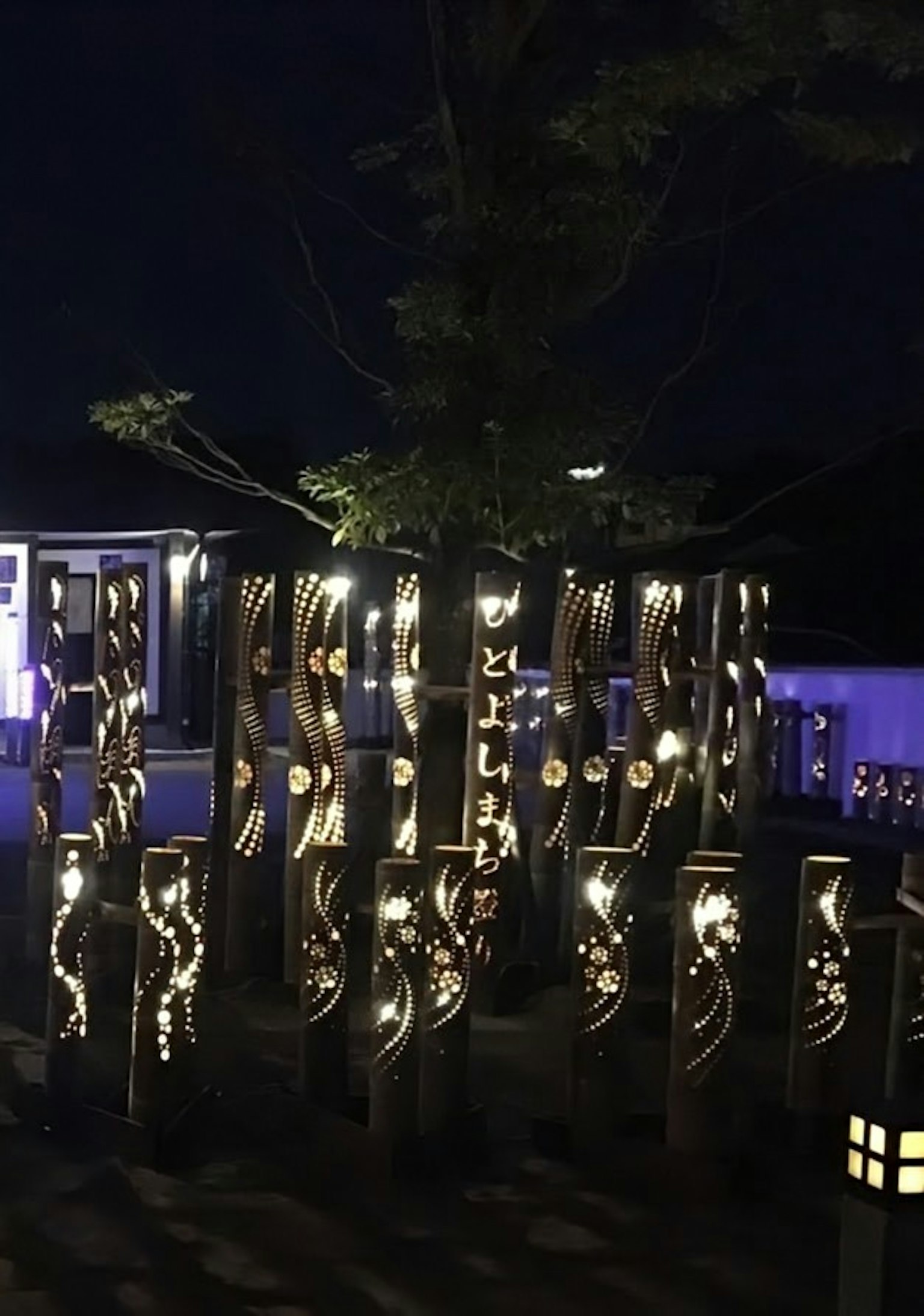 Postes de madera decorativos iluminados por la noche con un árbol al fondo