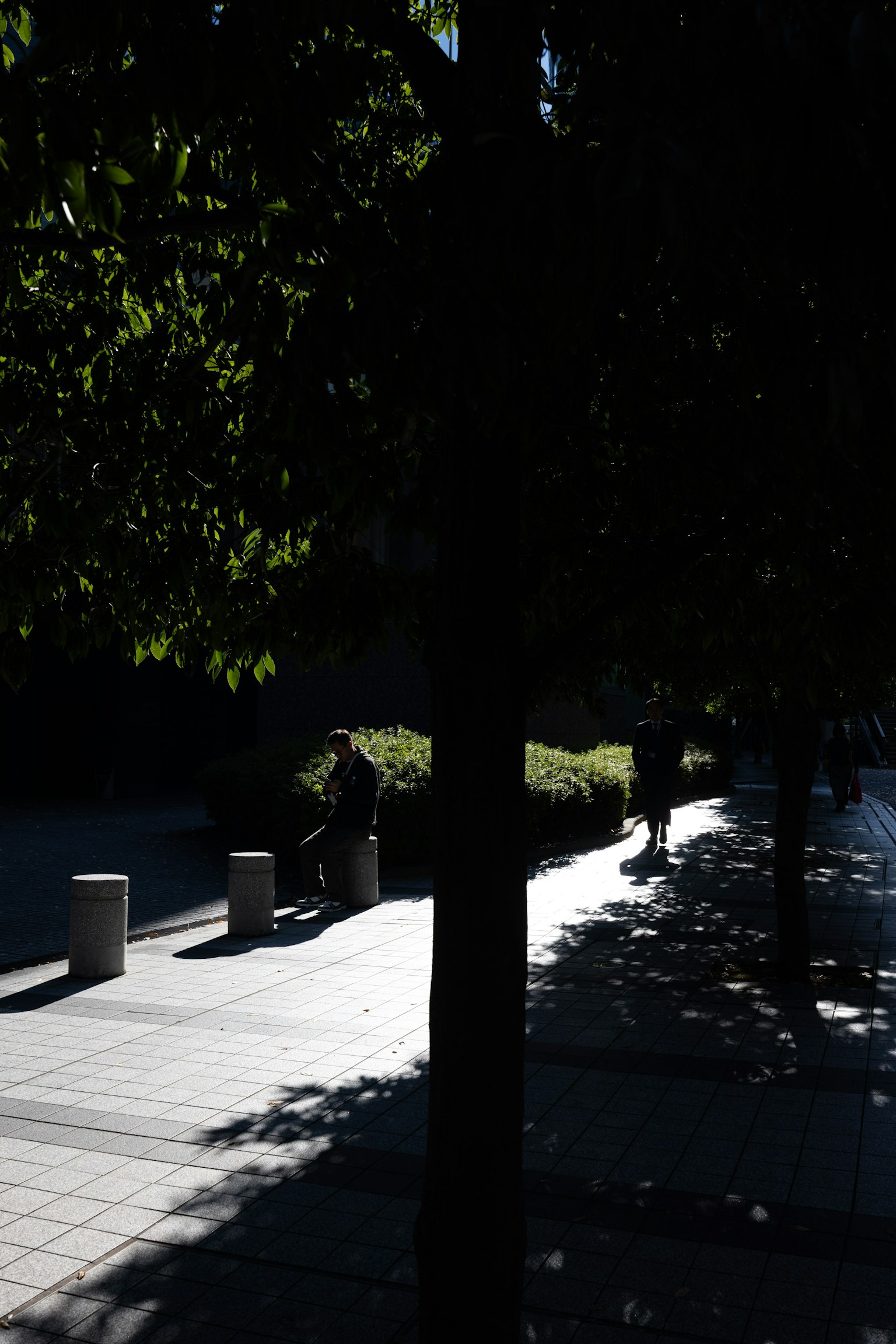 Schattenriss einer Person, die auf einem Parkweg sitzt, mit Schatten von Bäumen