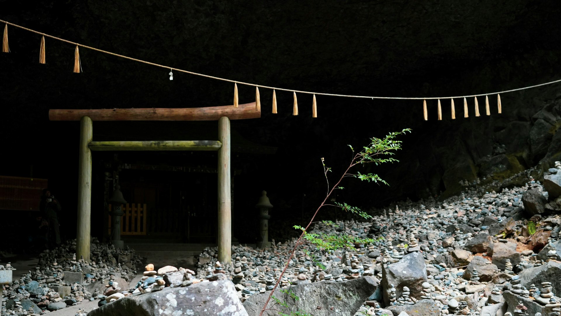 夜晚神社庭院，石階與鳥居