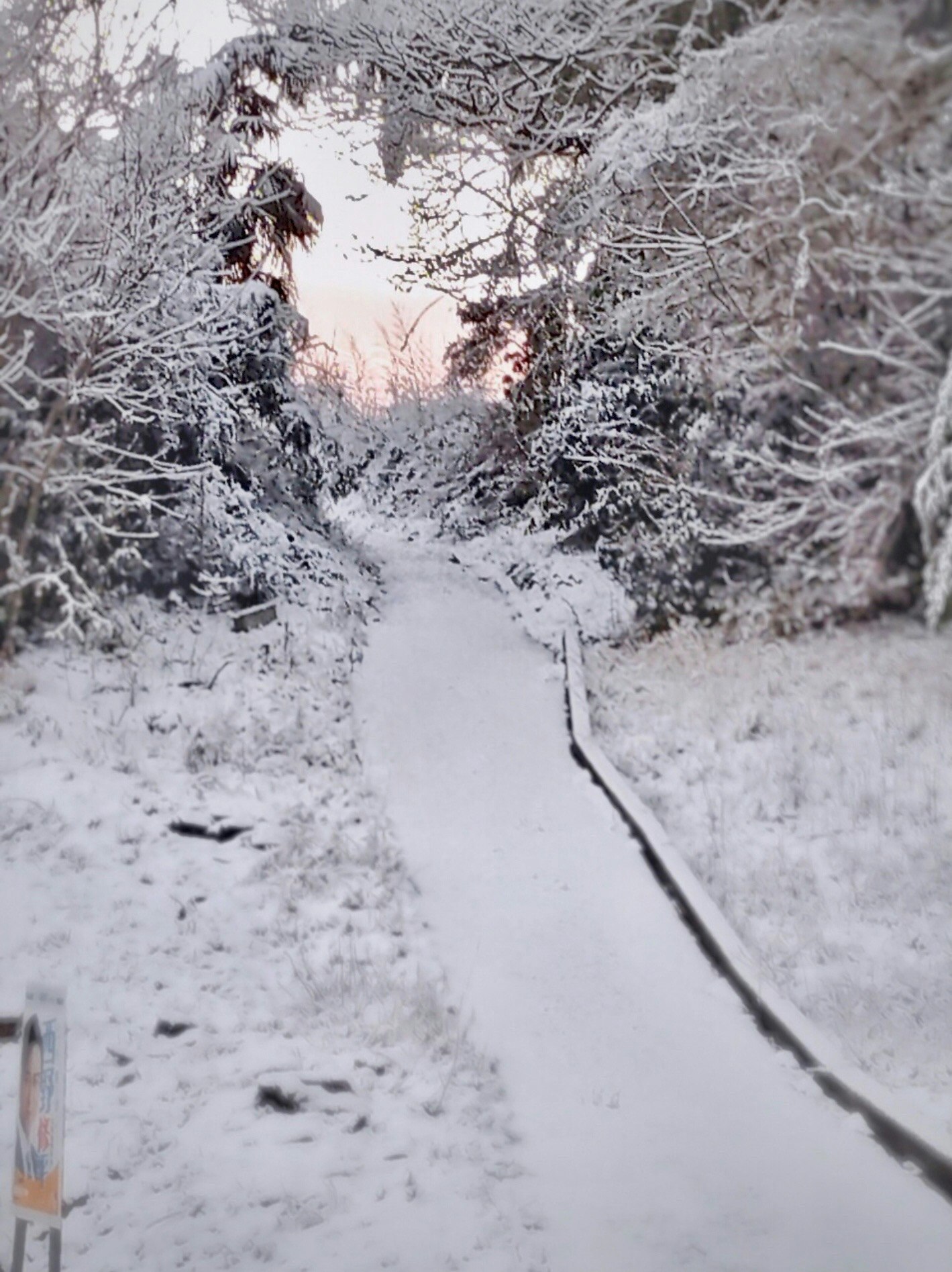 薄ら雪化粧の坂道を朝焼けが照らす冬の小道