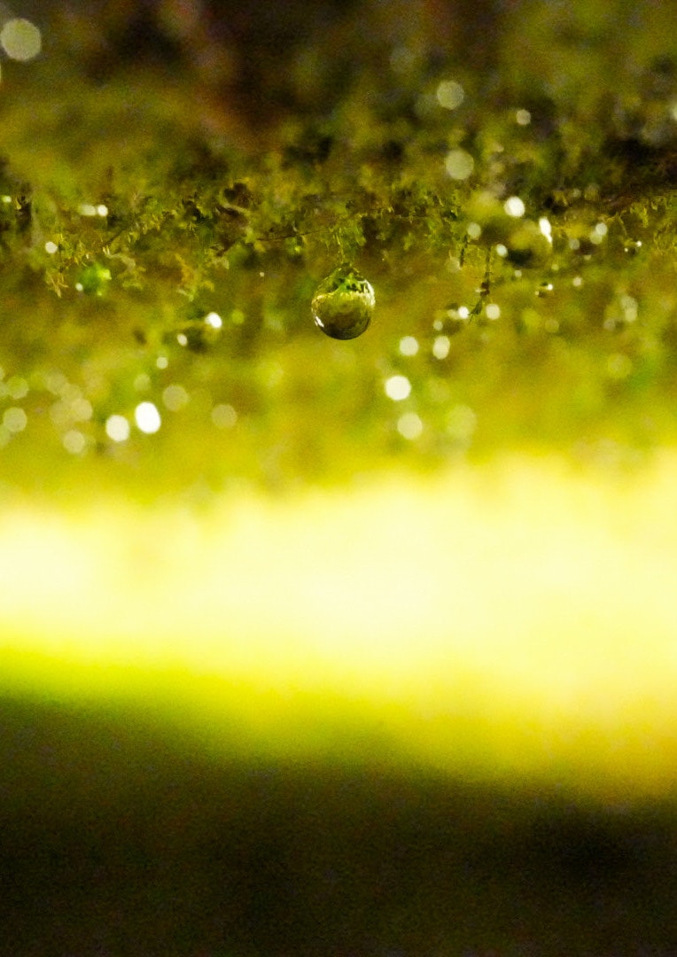 photo-Ptg4b55NeX9mJDQftd77