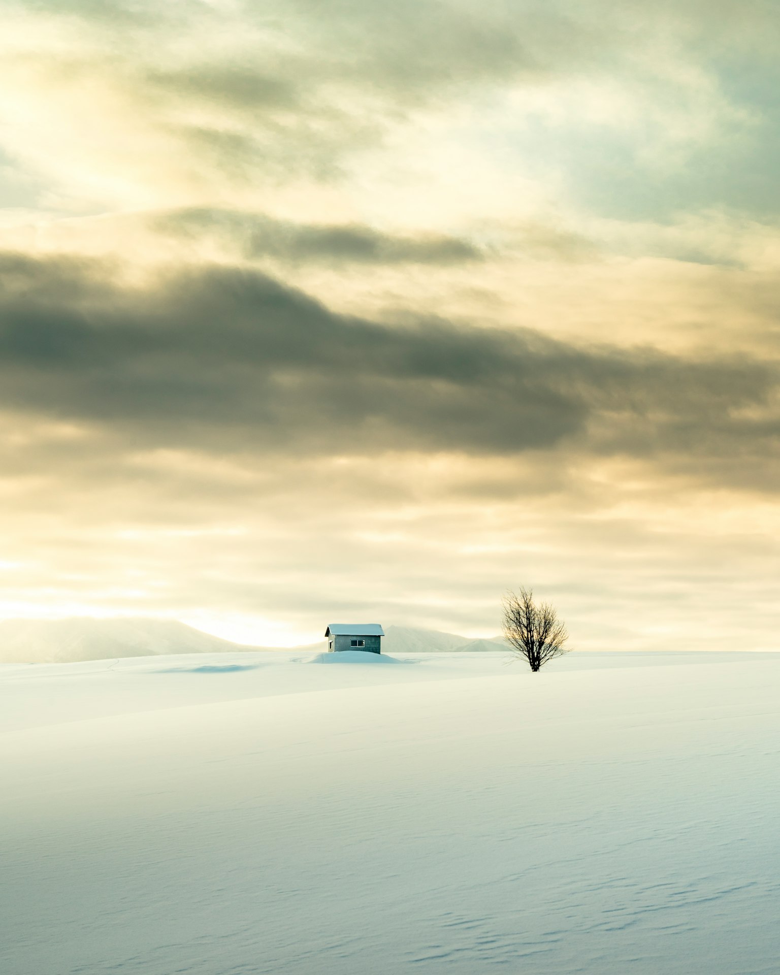 Cabina isolata e albero in un paesaggio innevato sotto un cielo nuvoloso