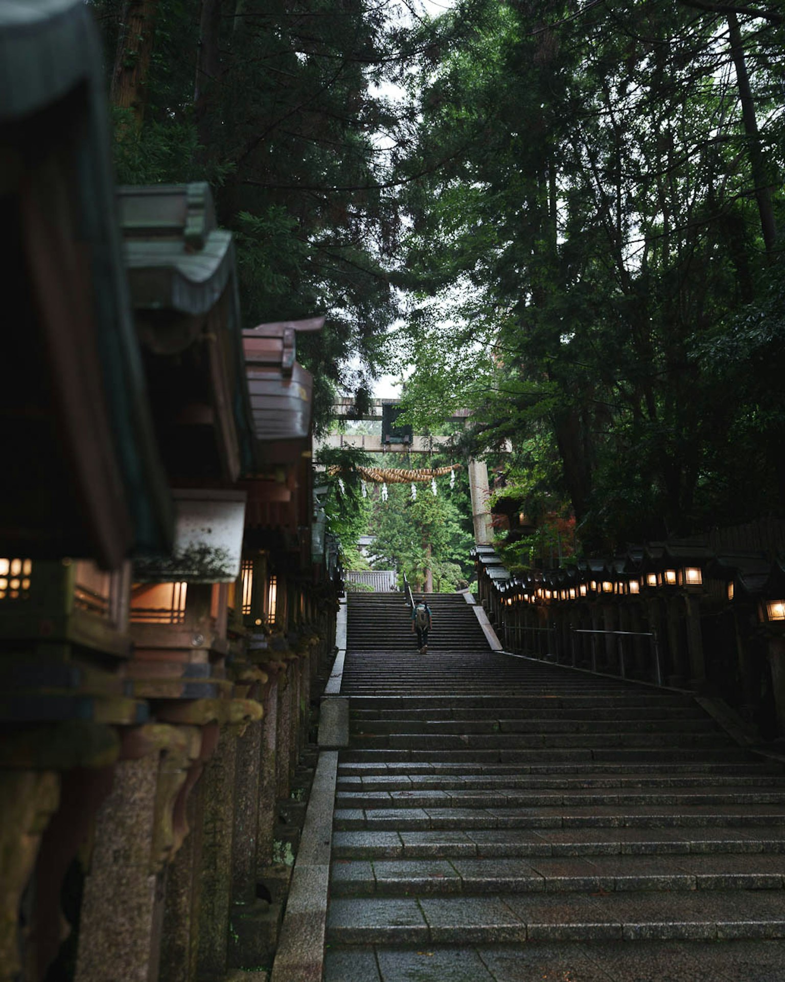 被绿色环绕的神社石阶和灯笼的风景