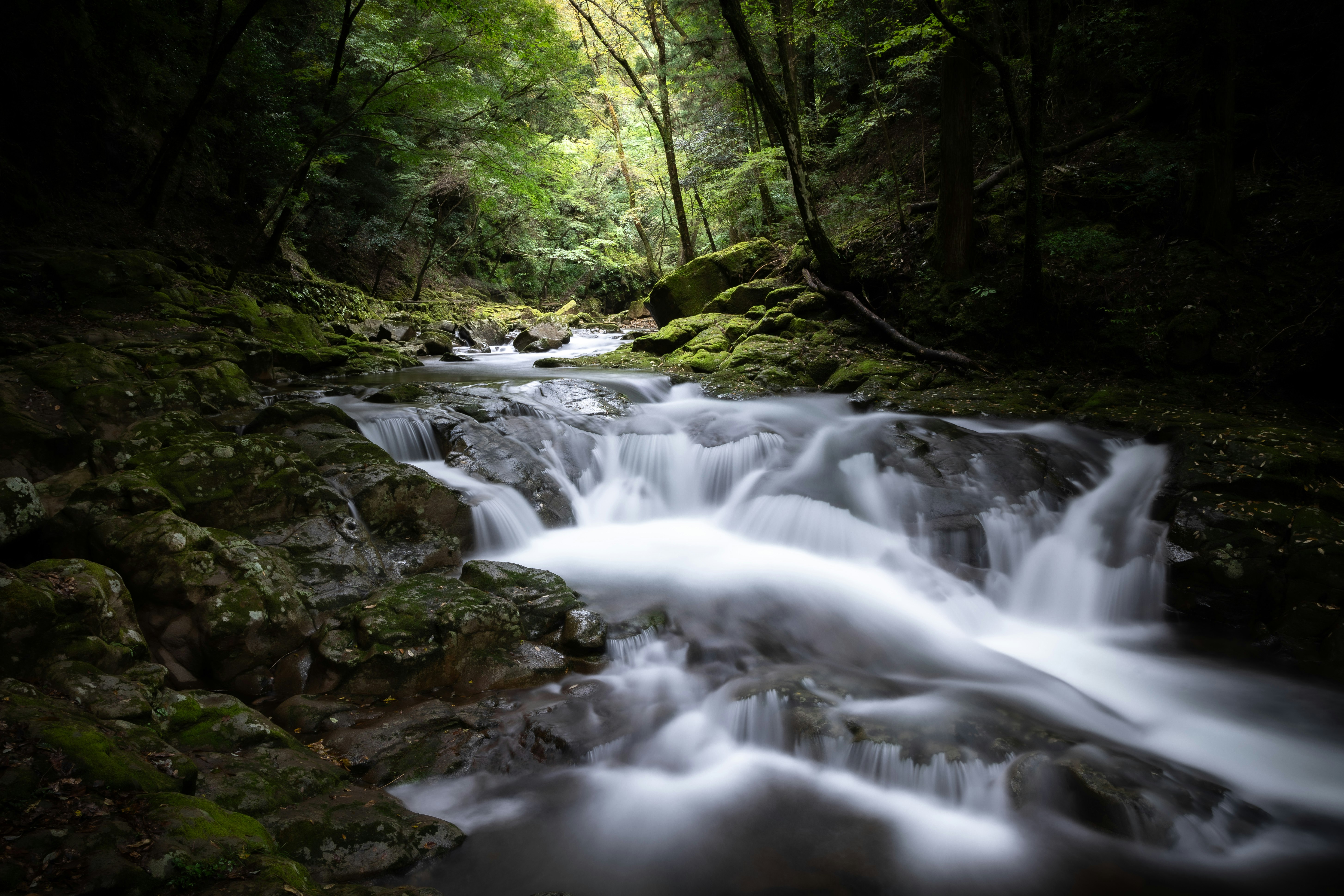 渓流を流れる小滝と苔むした岩のある森の風景
