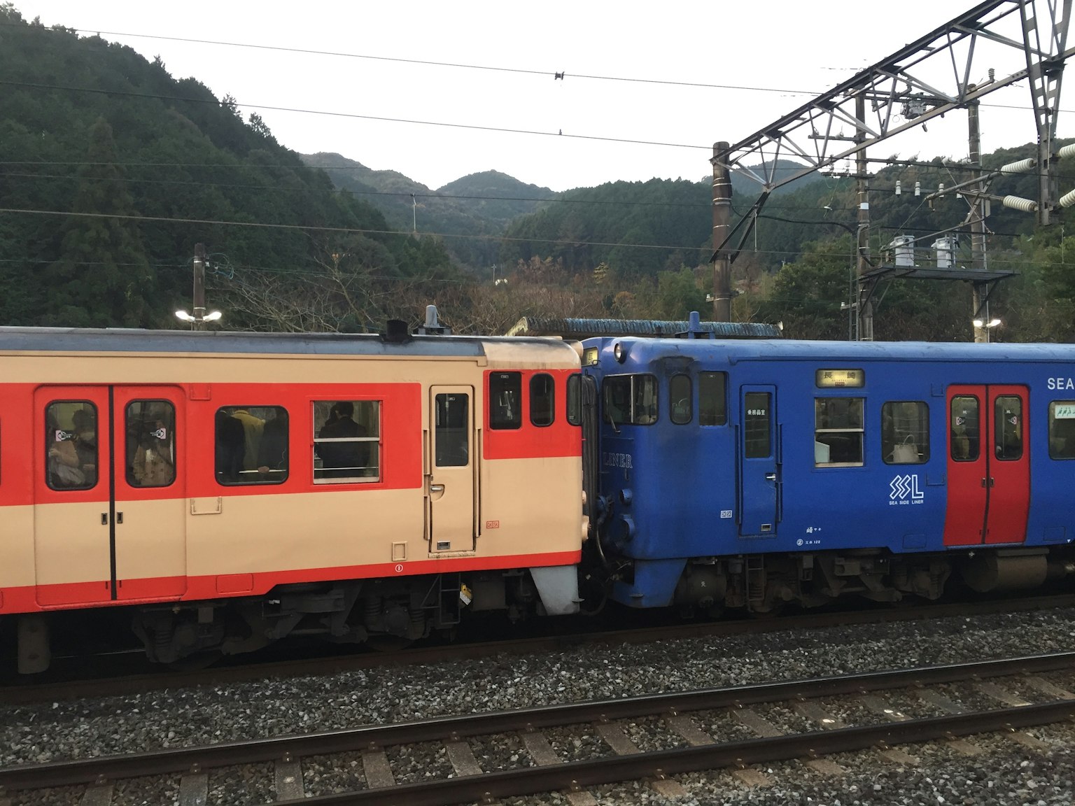 两列红色和蓝色的火车并排停放，背景有山和架空电线