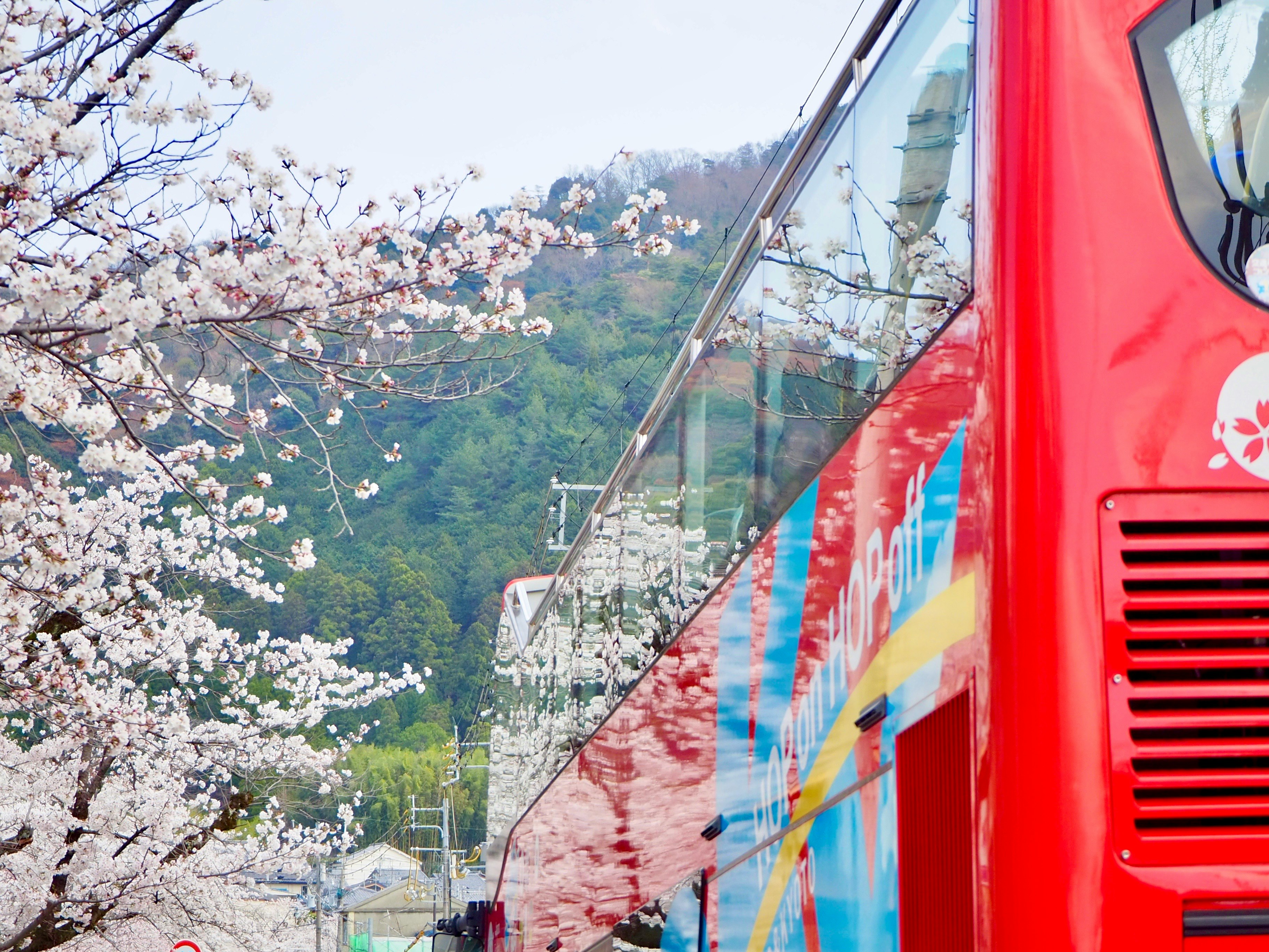 벚꽃과 산을 배경으로 달리는 빨간 기차