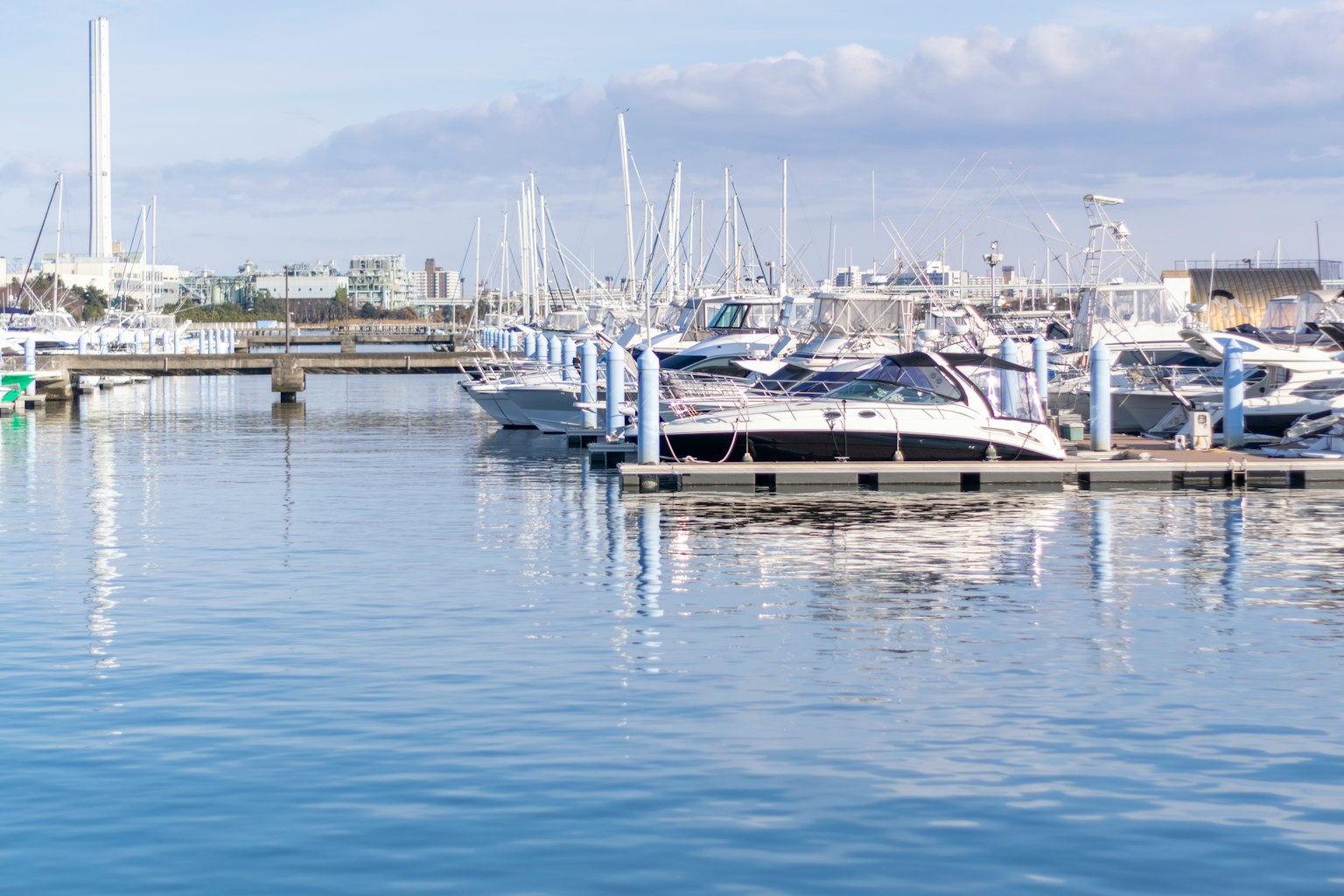 Calm marina with docked boats and serene water surface