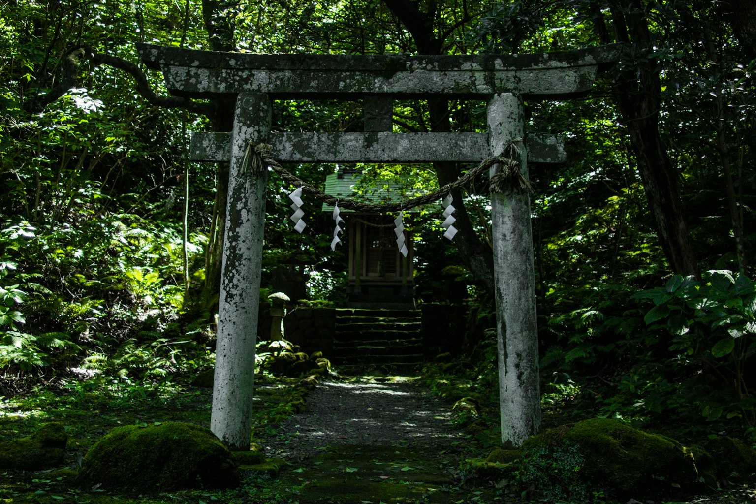 Antiguo torii rodeado de vegetación exuberante y escaleras de piedra