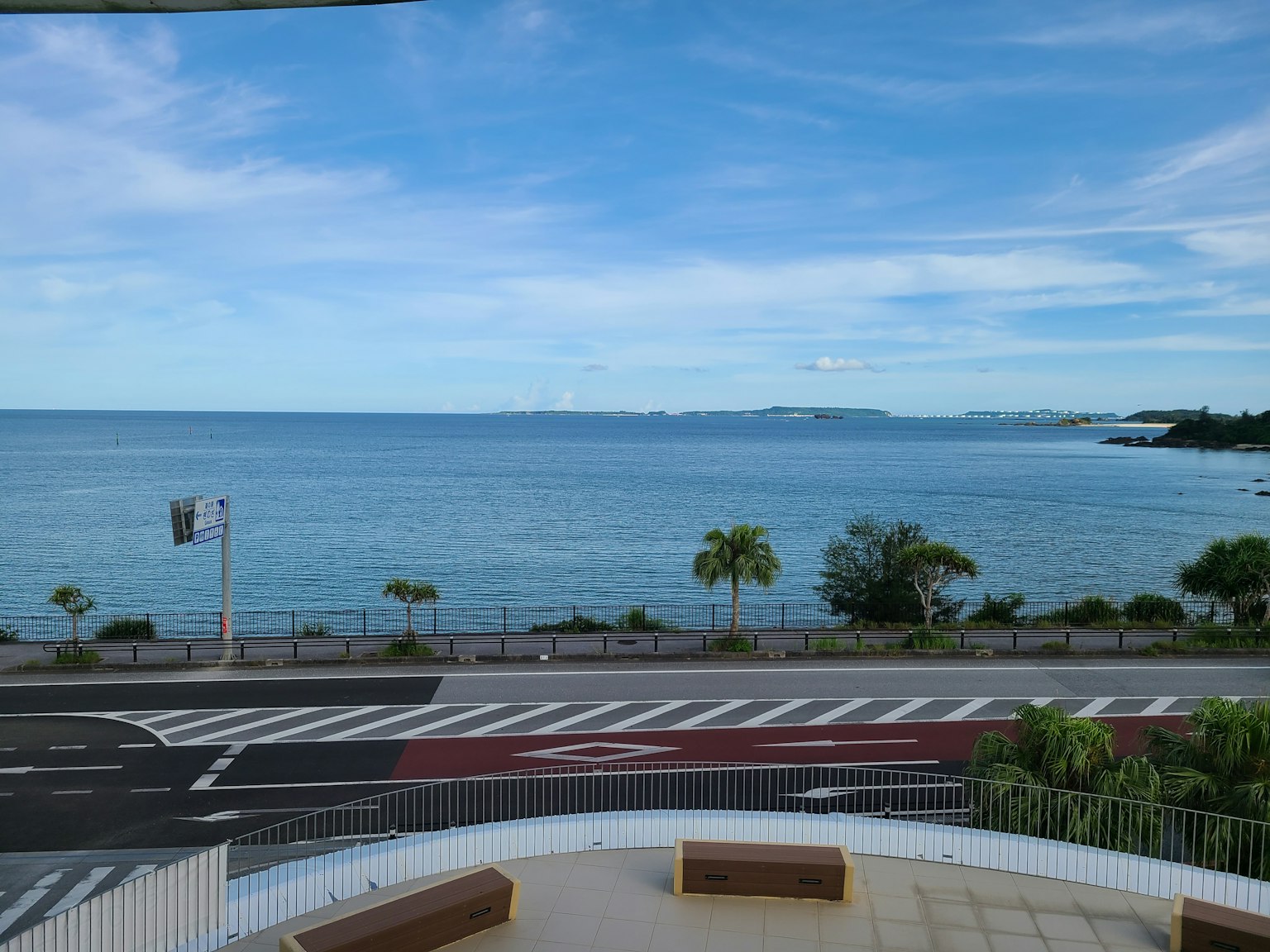 Coastal view featuring blue ocean and sky with palm trees and a road