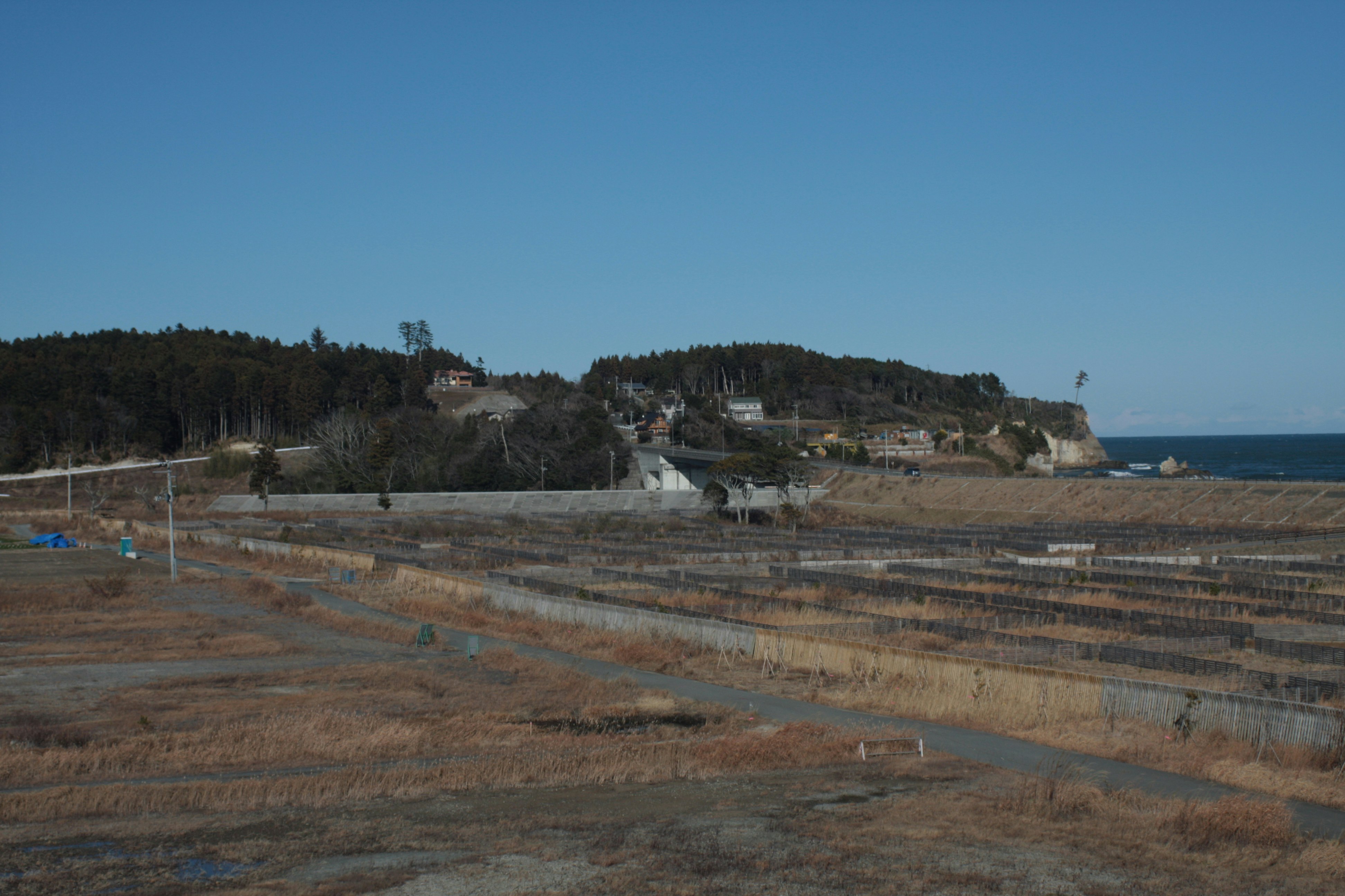 海边丘陵与梯田田地、远处海岸的风景图