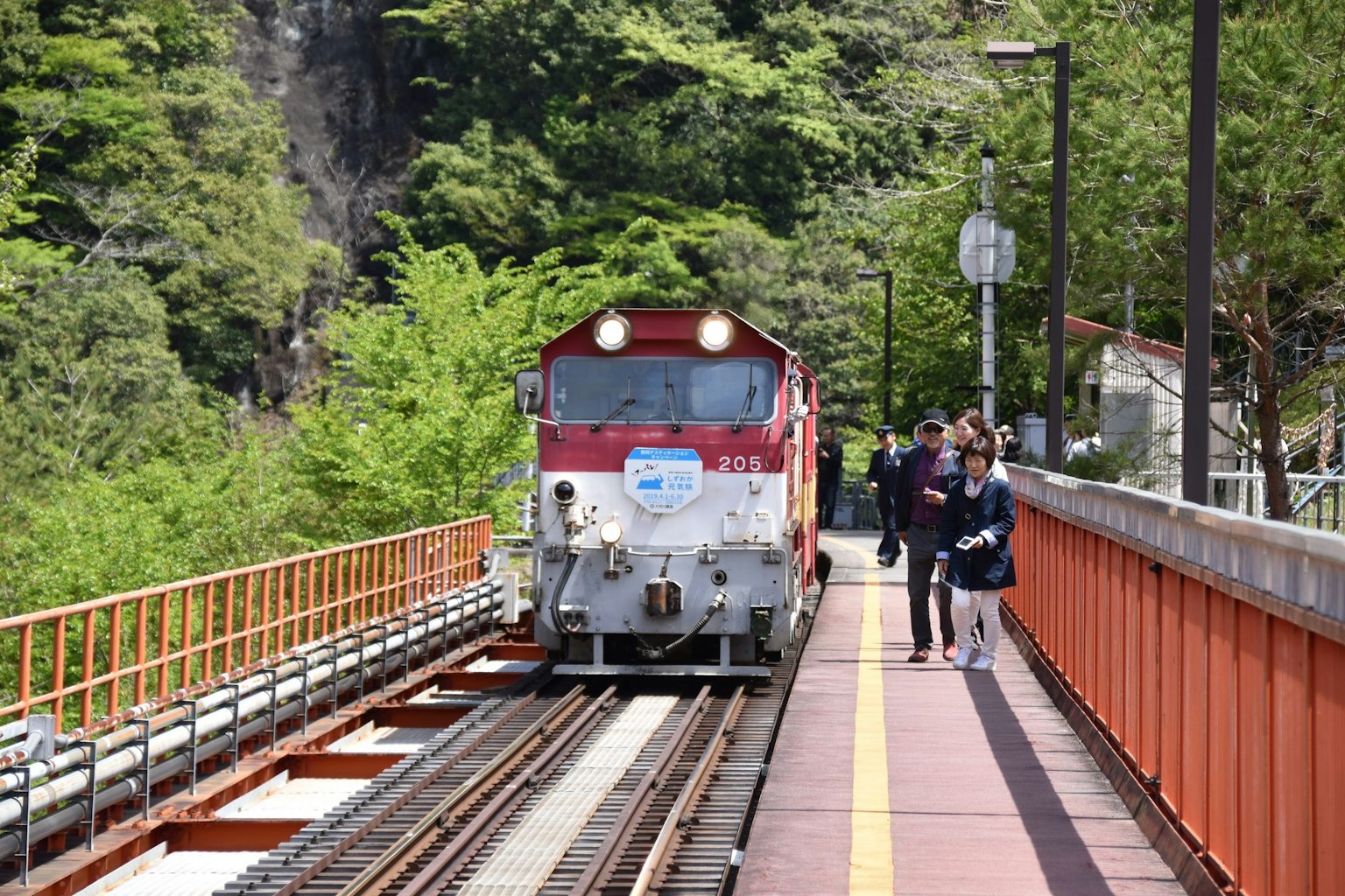 Red train at a station surrounded by lush greenery