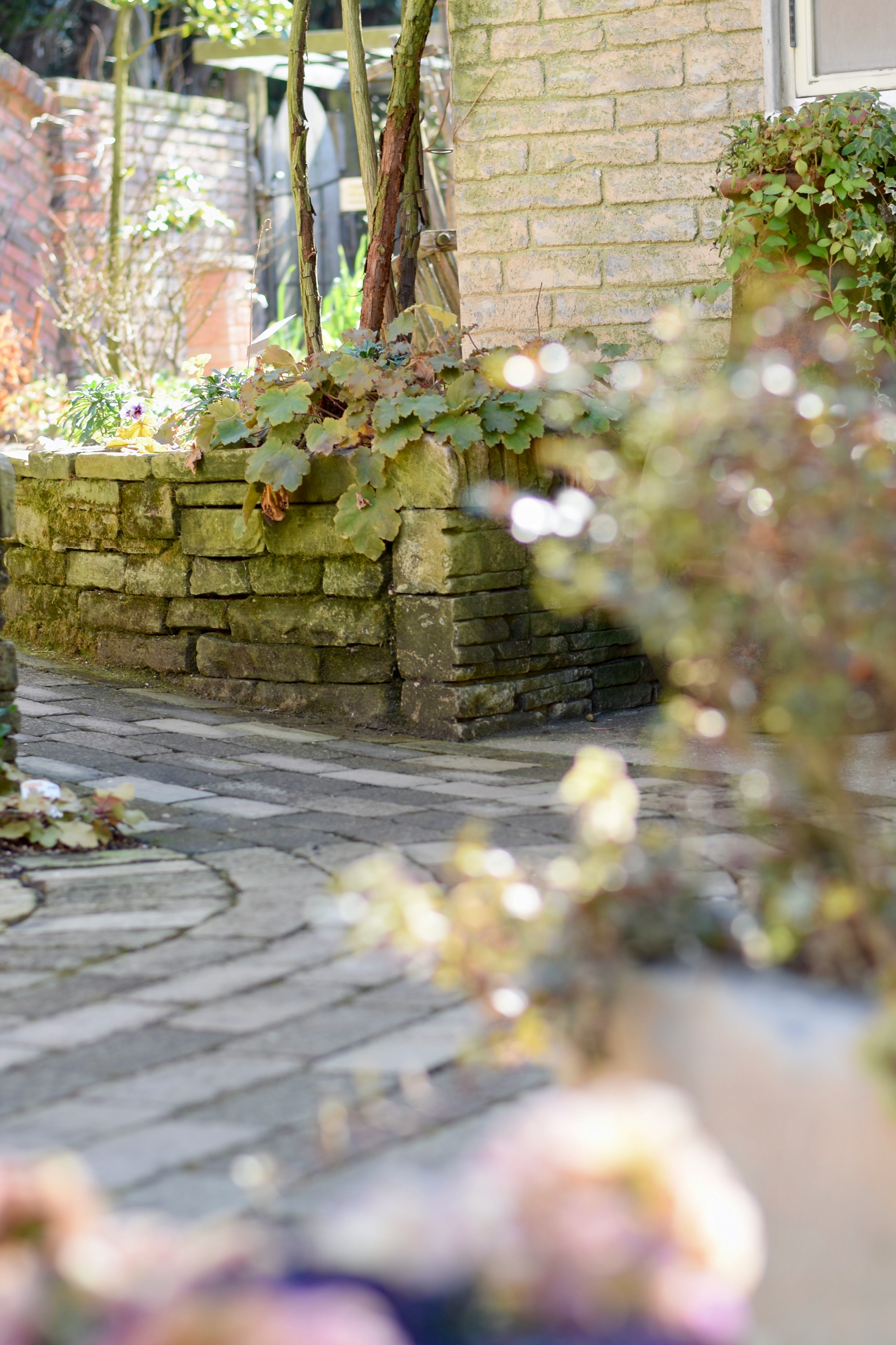 jardin à mur de pierres et espace négatif dans une ruelle