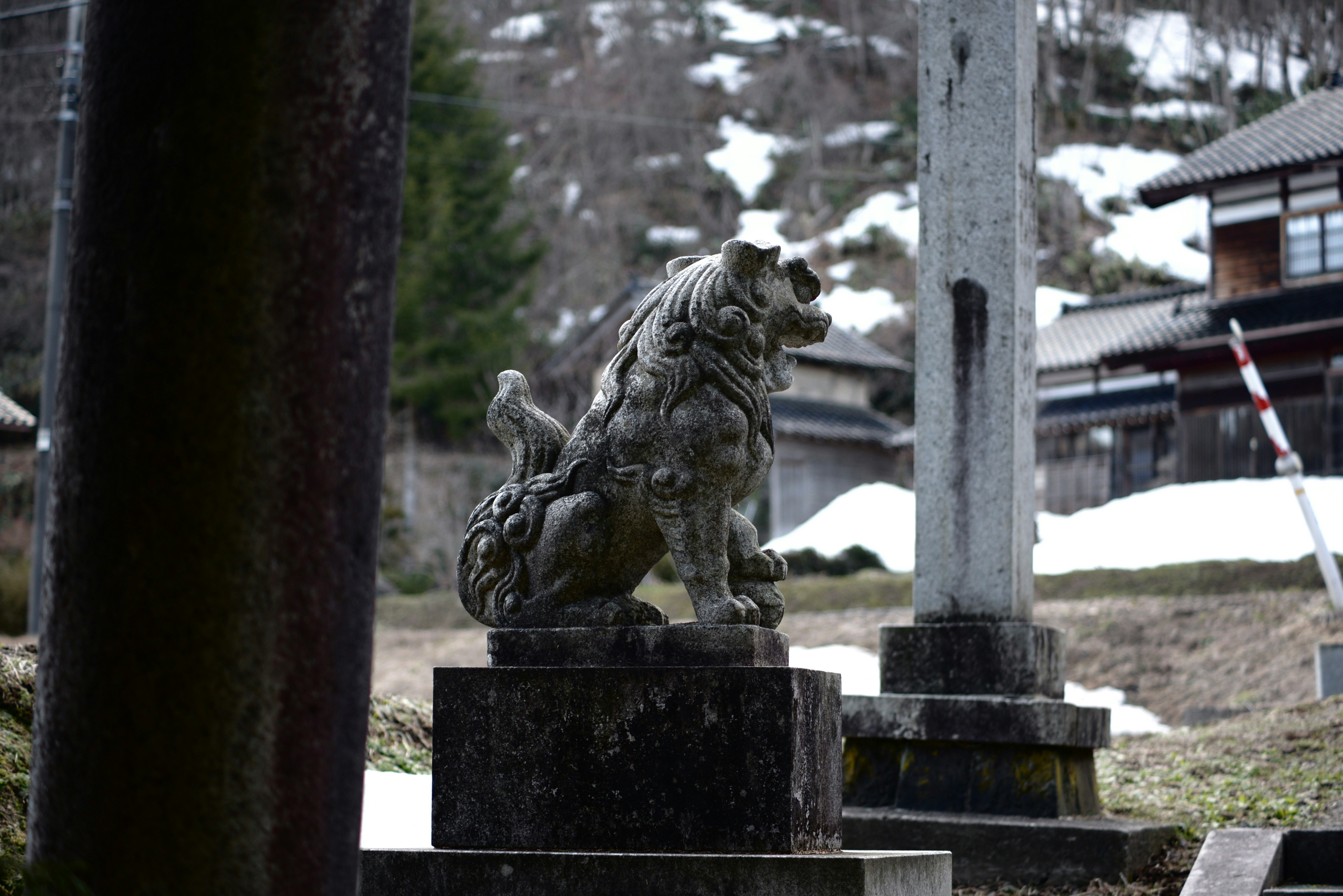 下雪的神社狛犬像与石灯笼