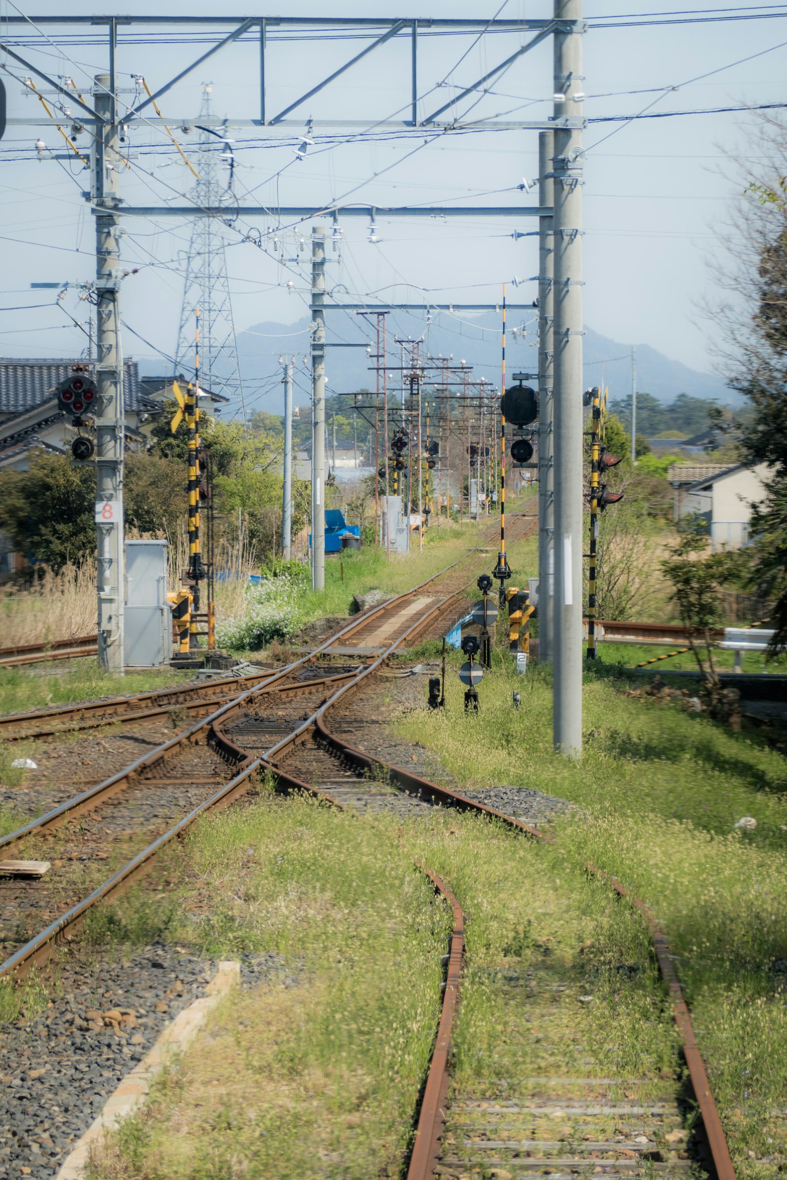จุดตัดทางรถไฟพร้อมสัญญาณและพืชพรรณ