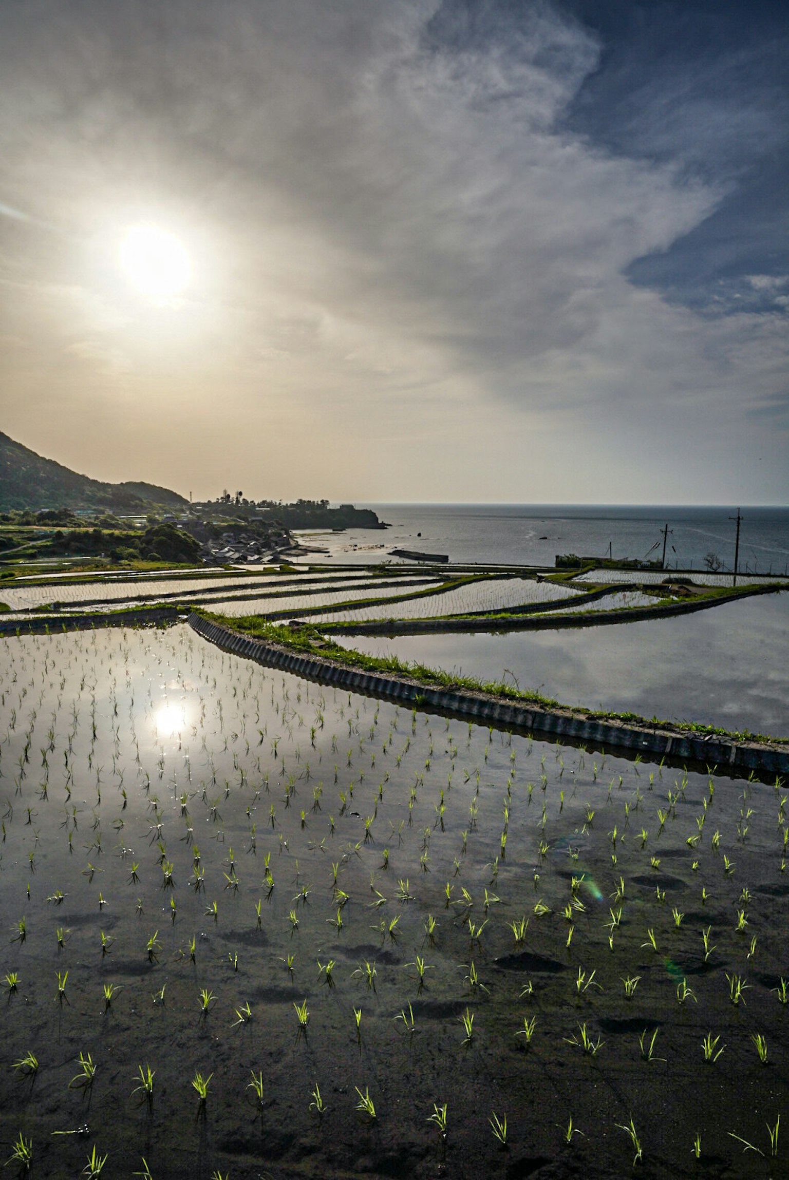 Scenic view of rice paddies by the sea with a dramatic sky