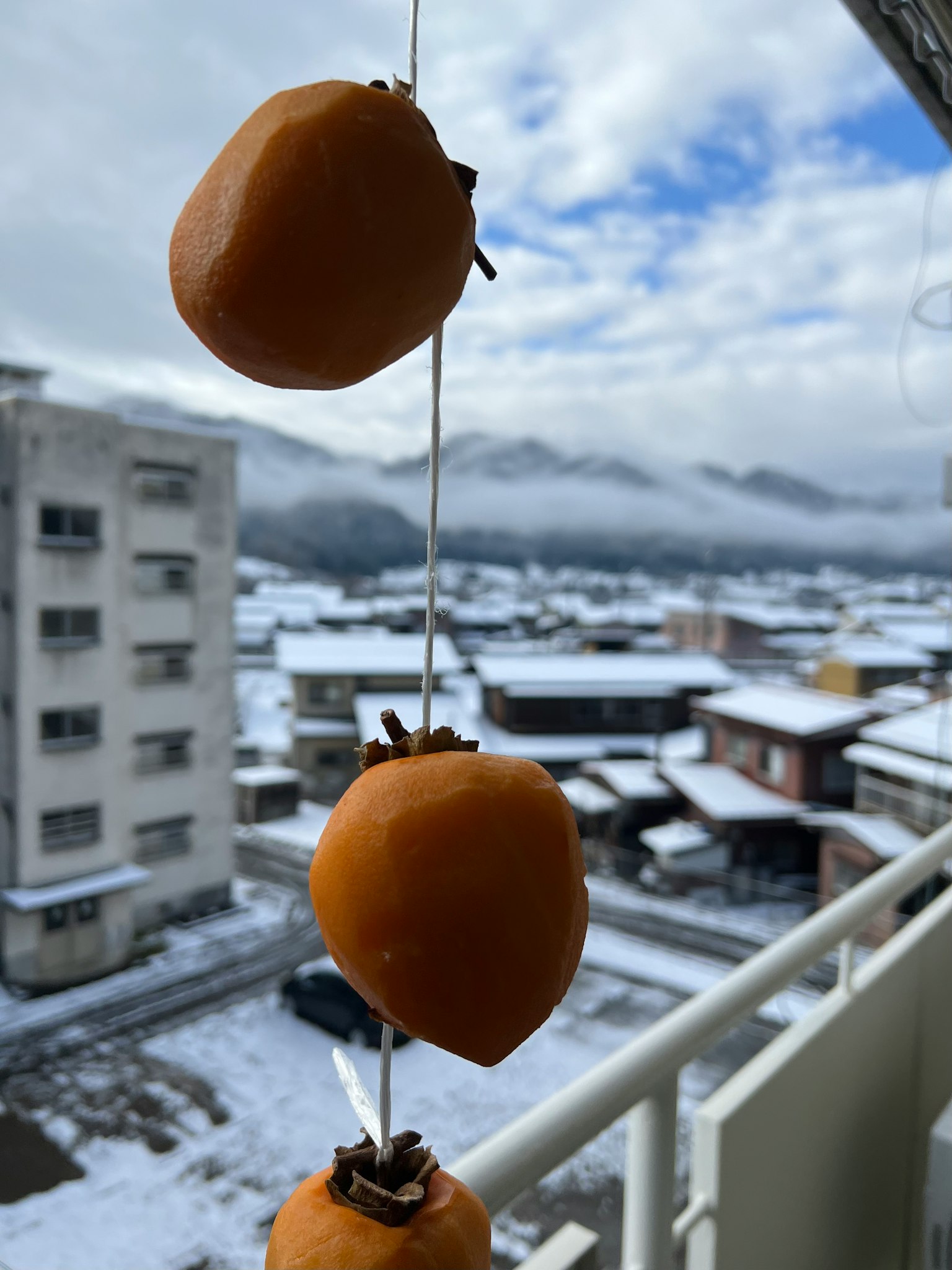 干柿子悬挂在雪景城市背景中