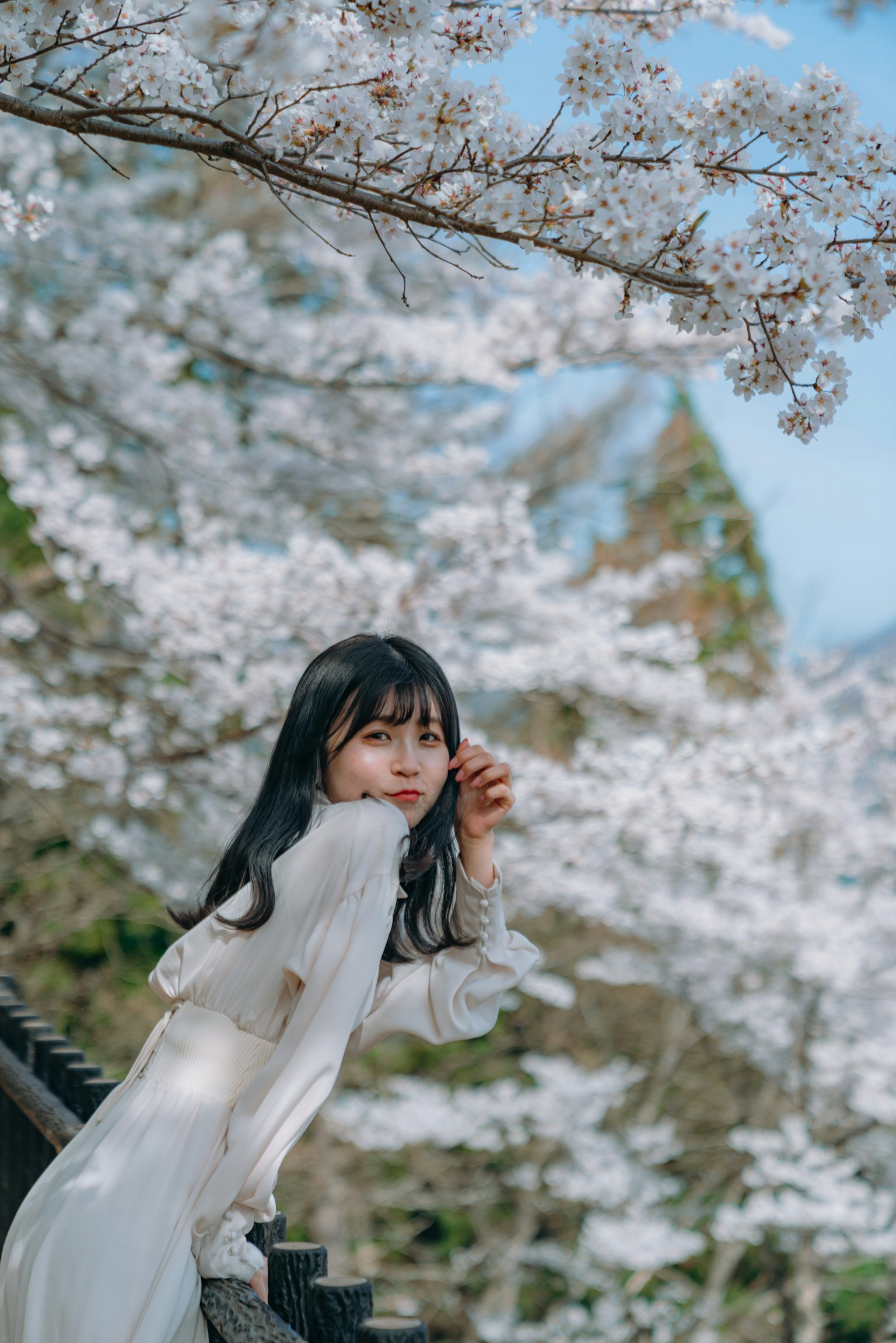 Một người phụ nữ trong chiếc váy trắng đứng dưới cây anh đào nở hoa