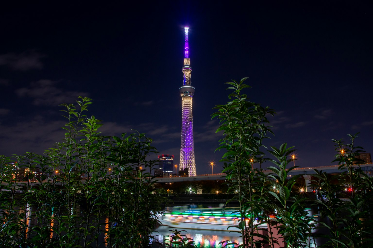 Tokyo Skytree nachts lila beleuchtet umgeben von Grün