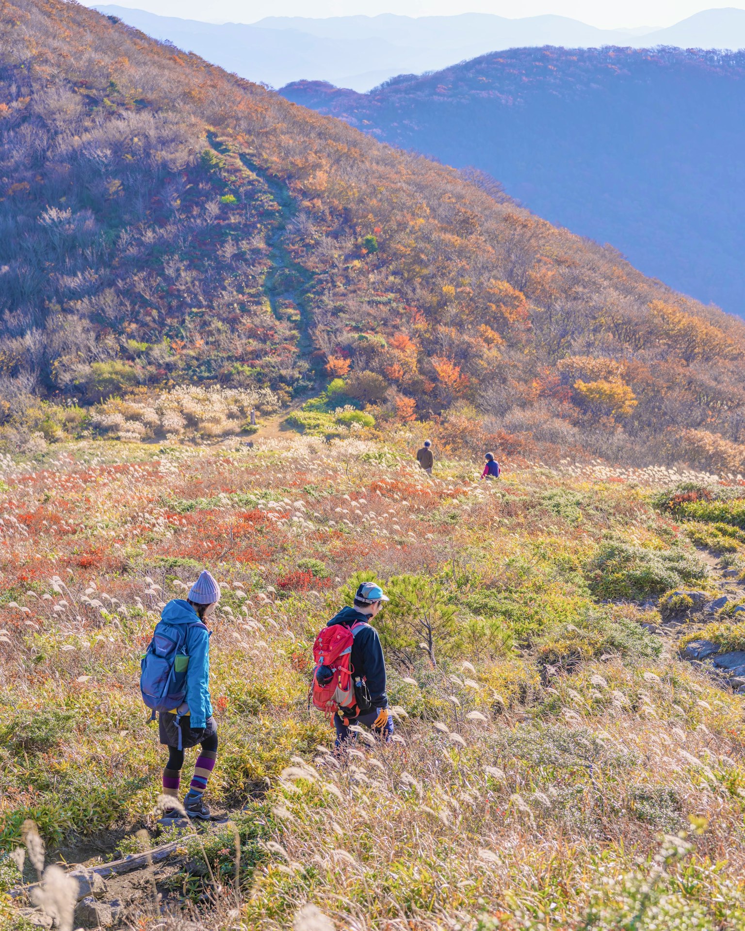 Due escursionisti che camminano attraverso un bellissimo paesaggio montano con fogliame autunnale