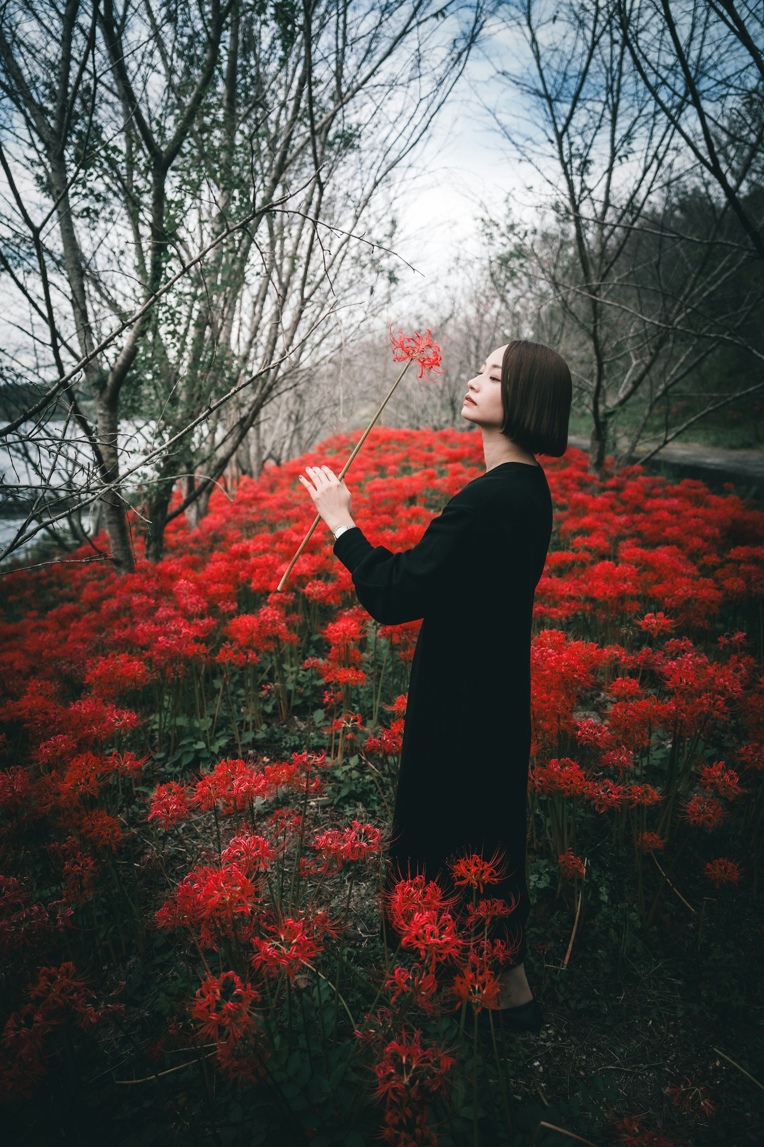 Femme se tenant parmi des fleurs rouges vives avec des arbres en arrière-plan