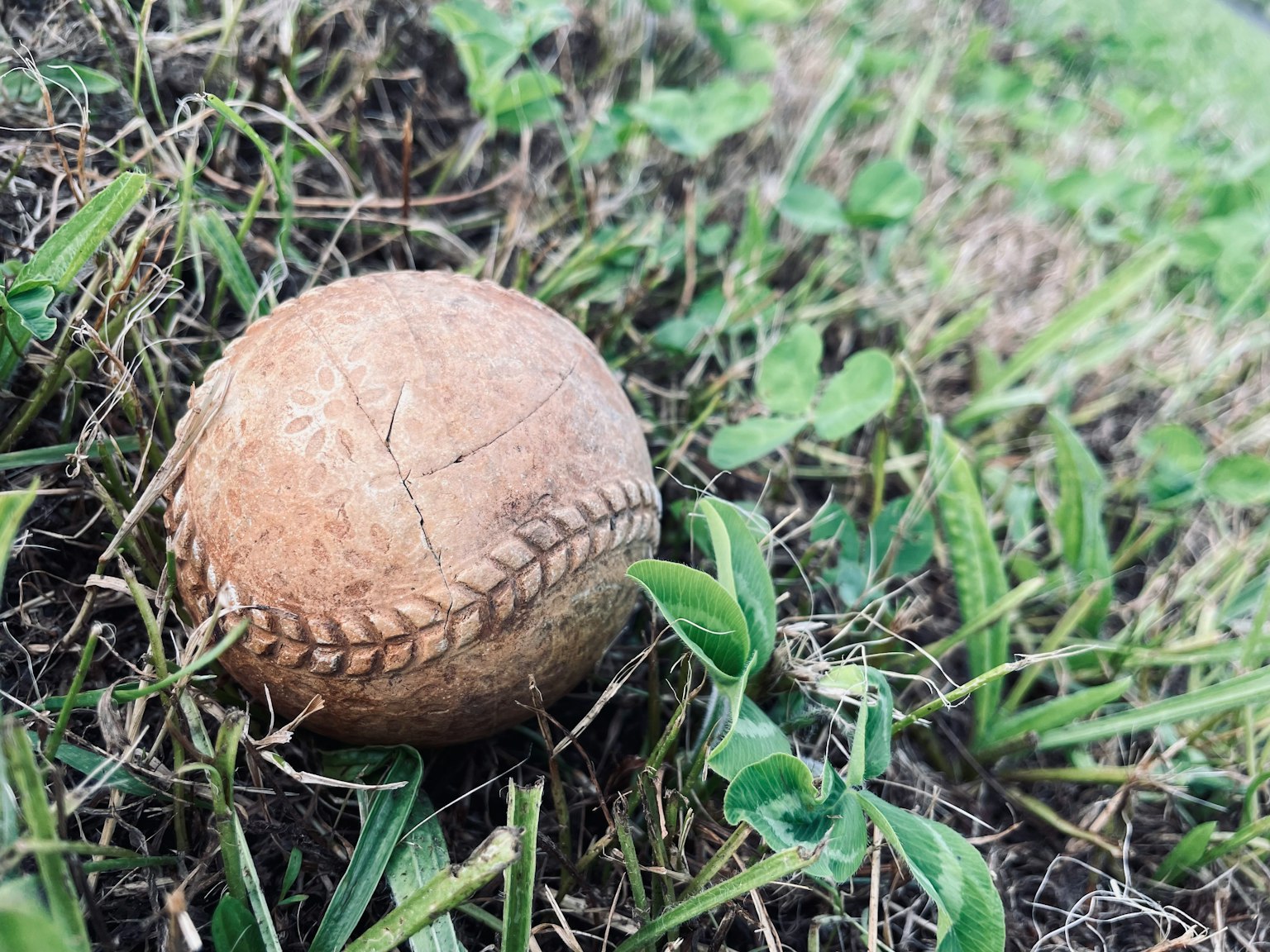 photo-Q199zLZGcmtvuYCnm3a1-image