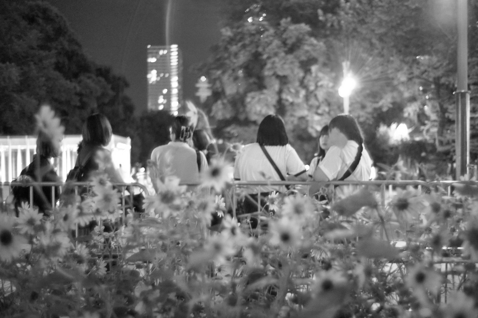 Silhouettes of people sitting in a park at night in front of flowers
