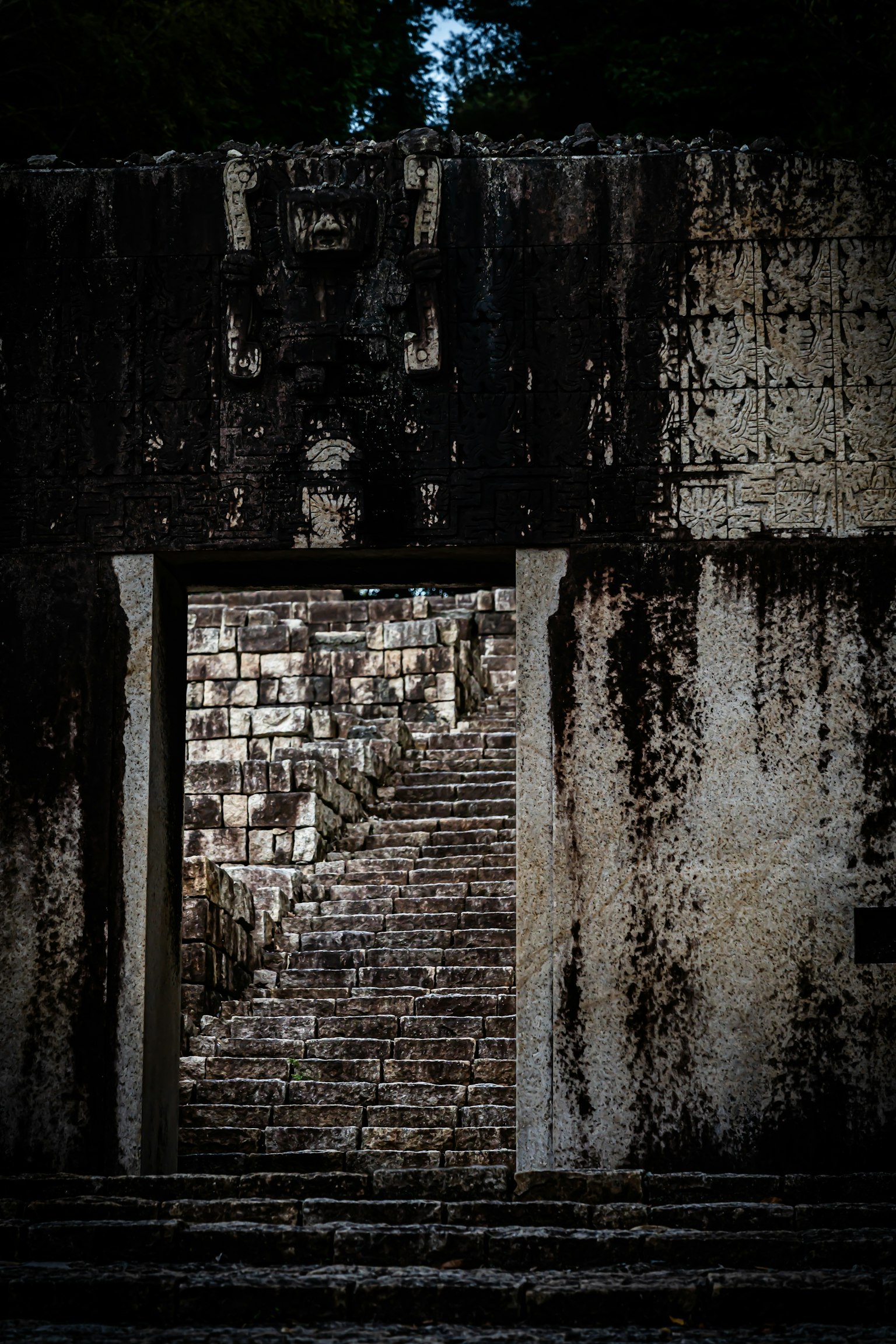photo-Q1kkCcrvYTQlkKtSVGov-image