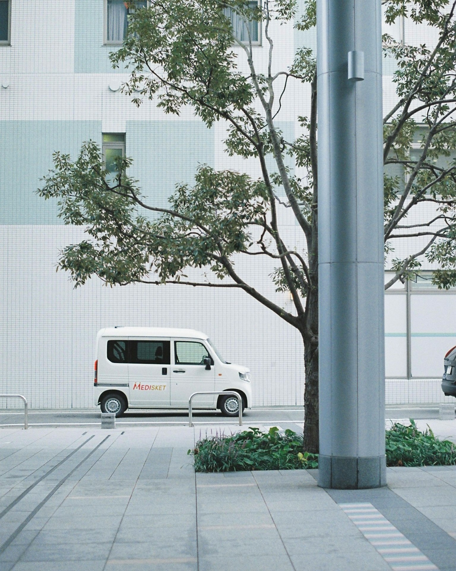 Escena urbana con un vehículo blanco y un árbol